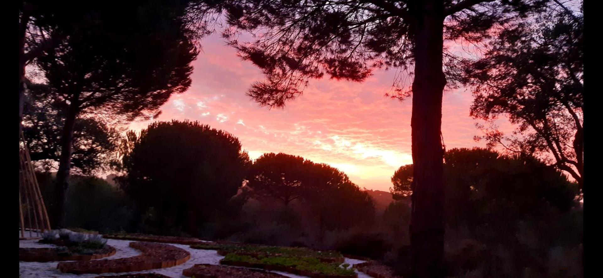 Ying Yang Monte da Lua