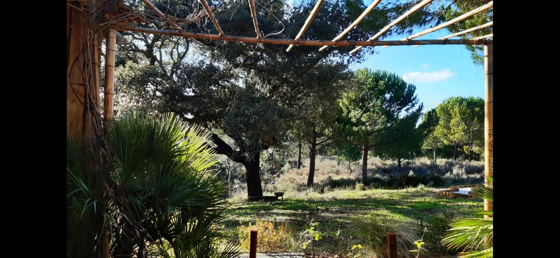 Ying Yang Monte da Lua