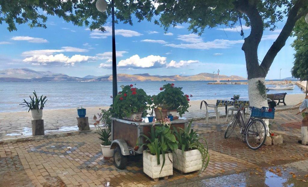 CASA LELA 1...όπως μια φορά...like once