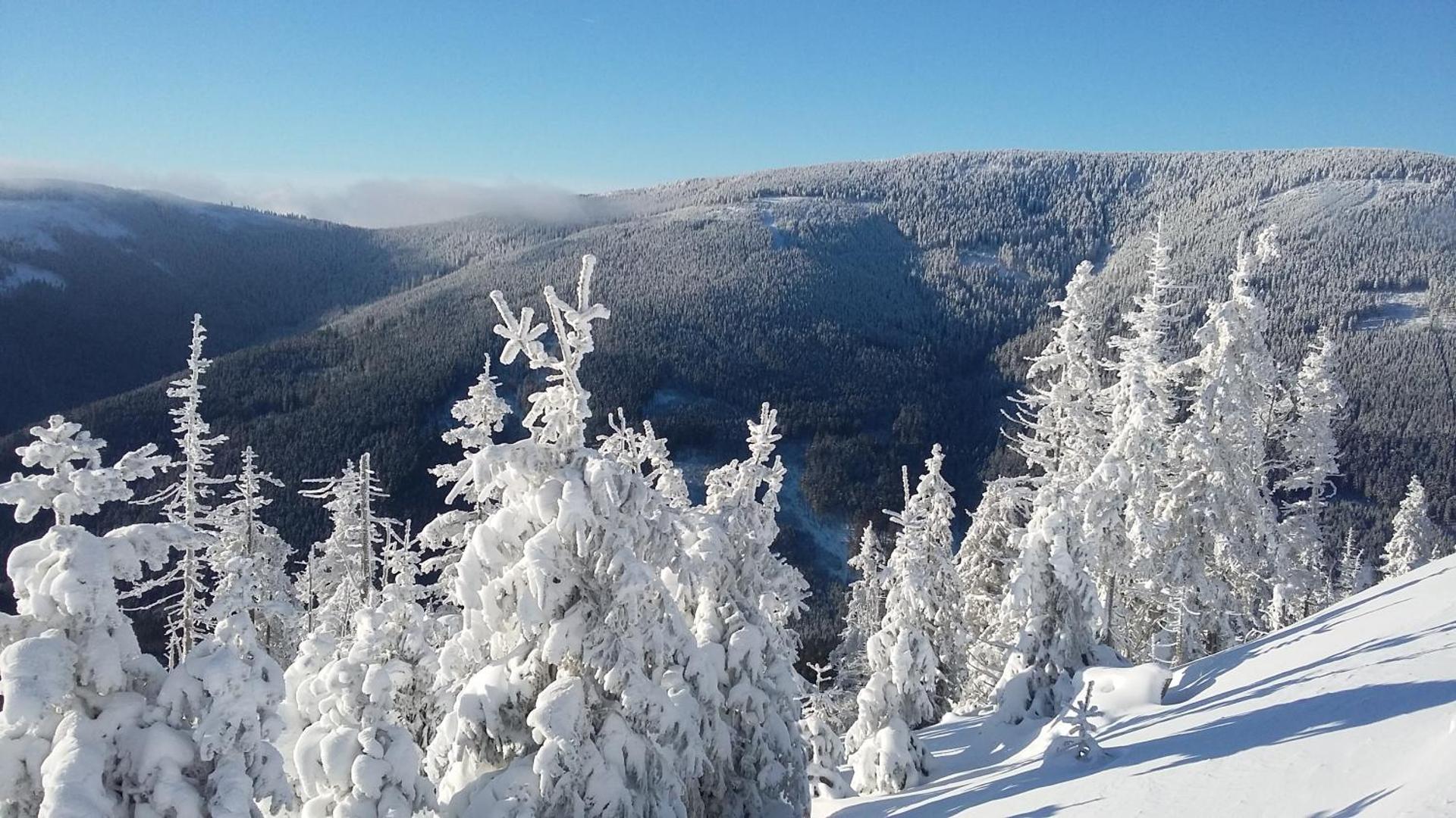 Apartmán U Sjezdovky