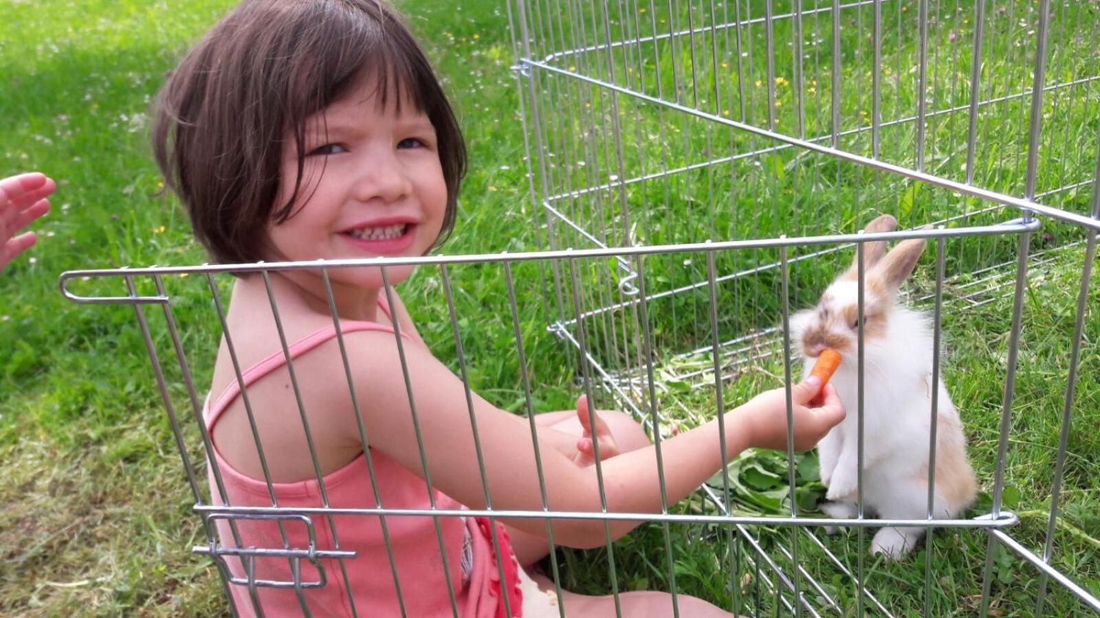 Urlaub am Bauernhof Höbarten
