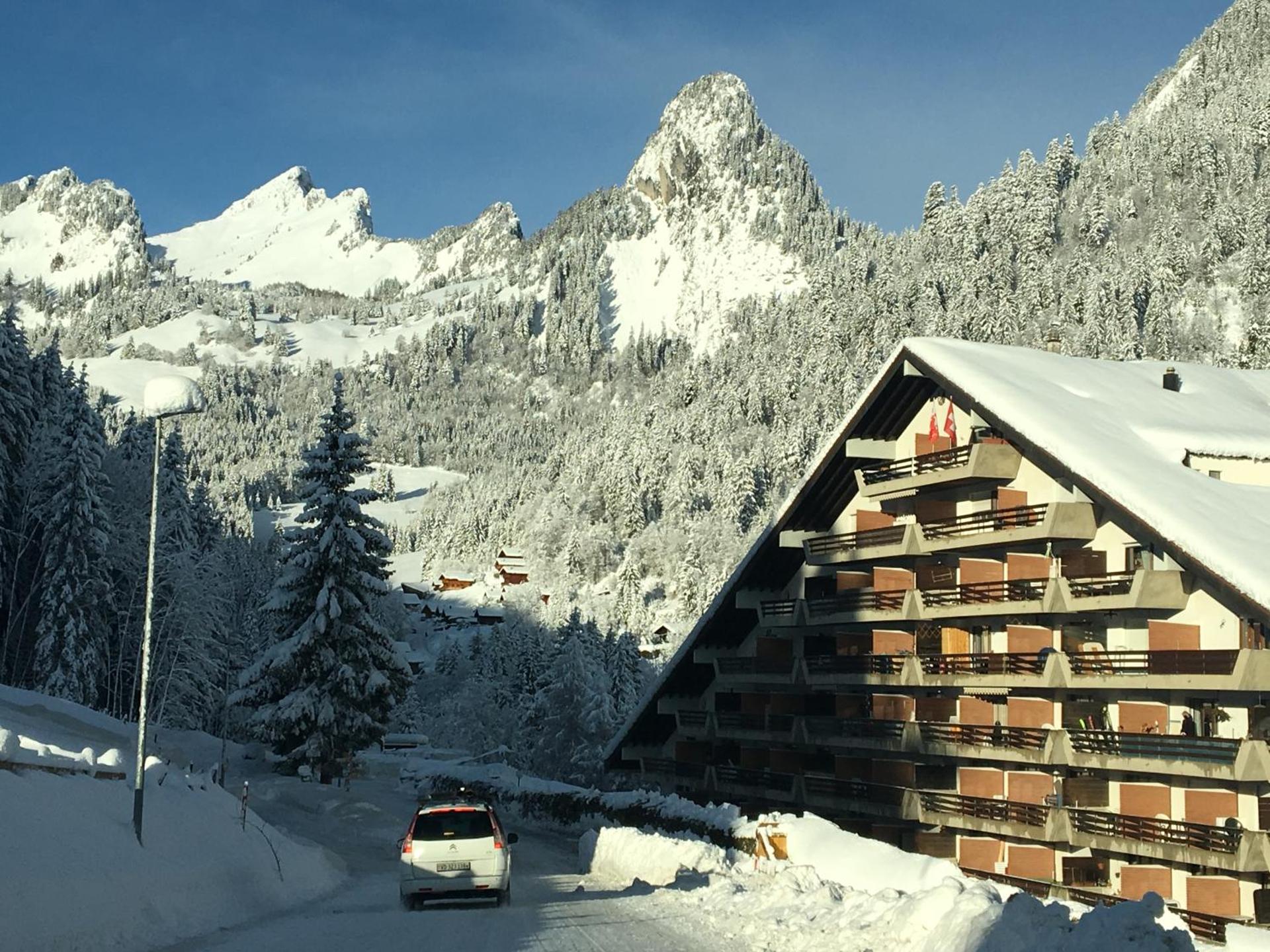 Alpine apartment in Swiss village of Torgon