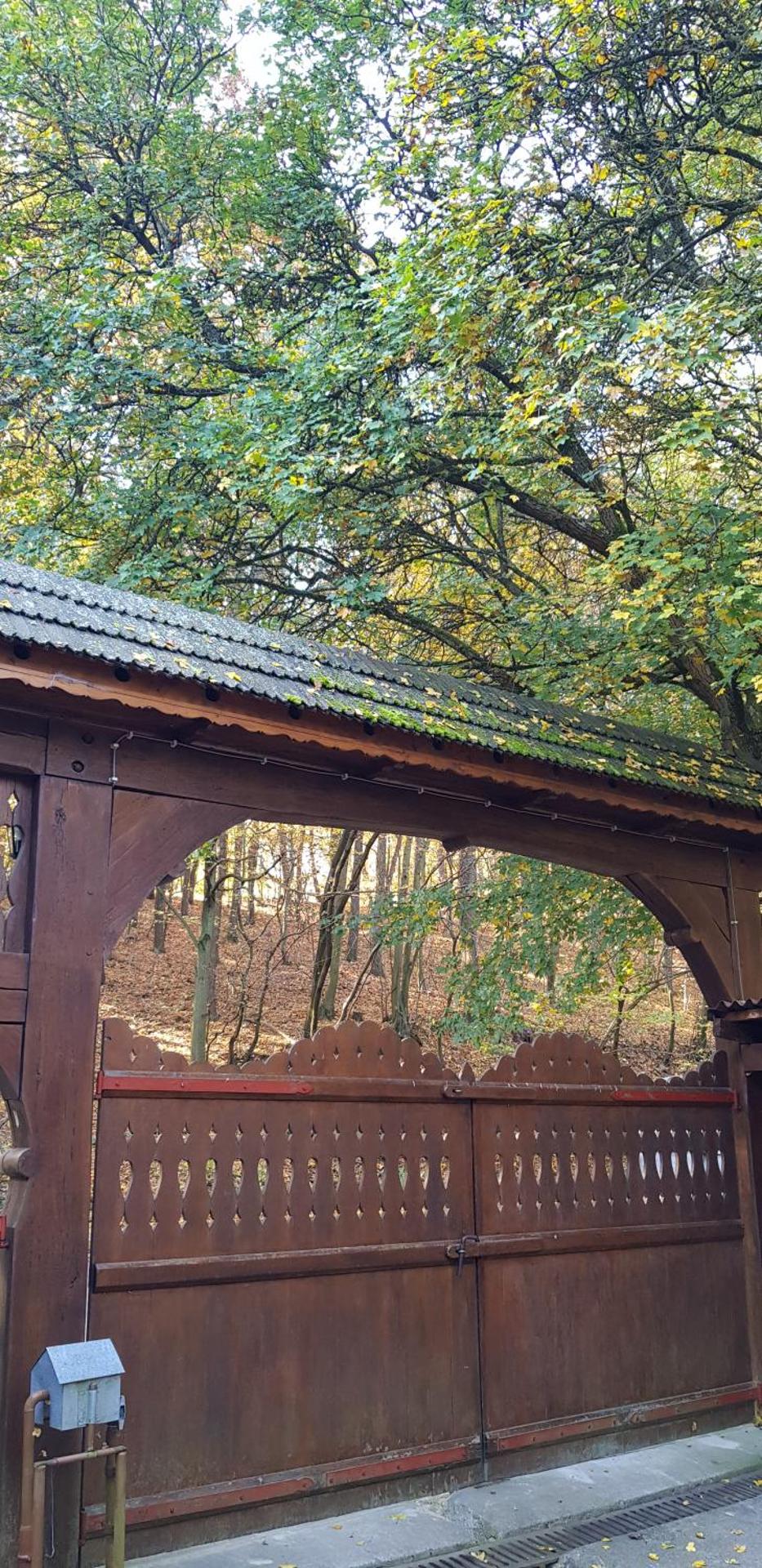 Csodaszarvas Vendégház