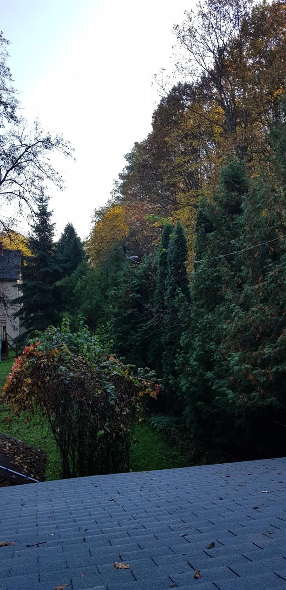 Csodaszarvas Vendégház