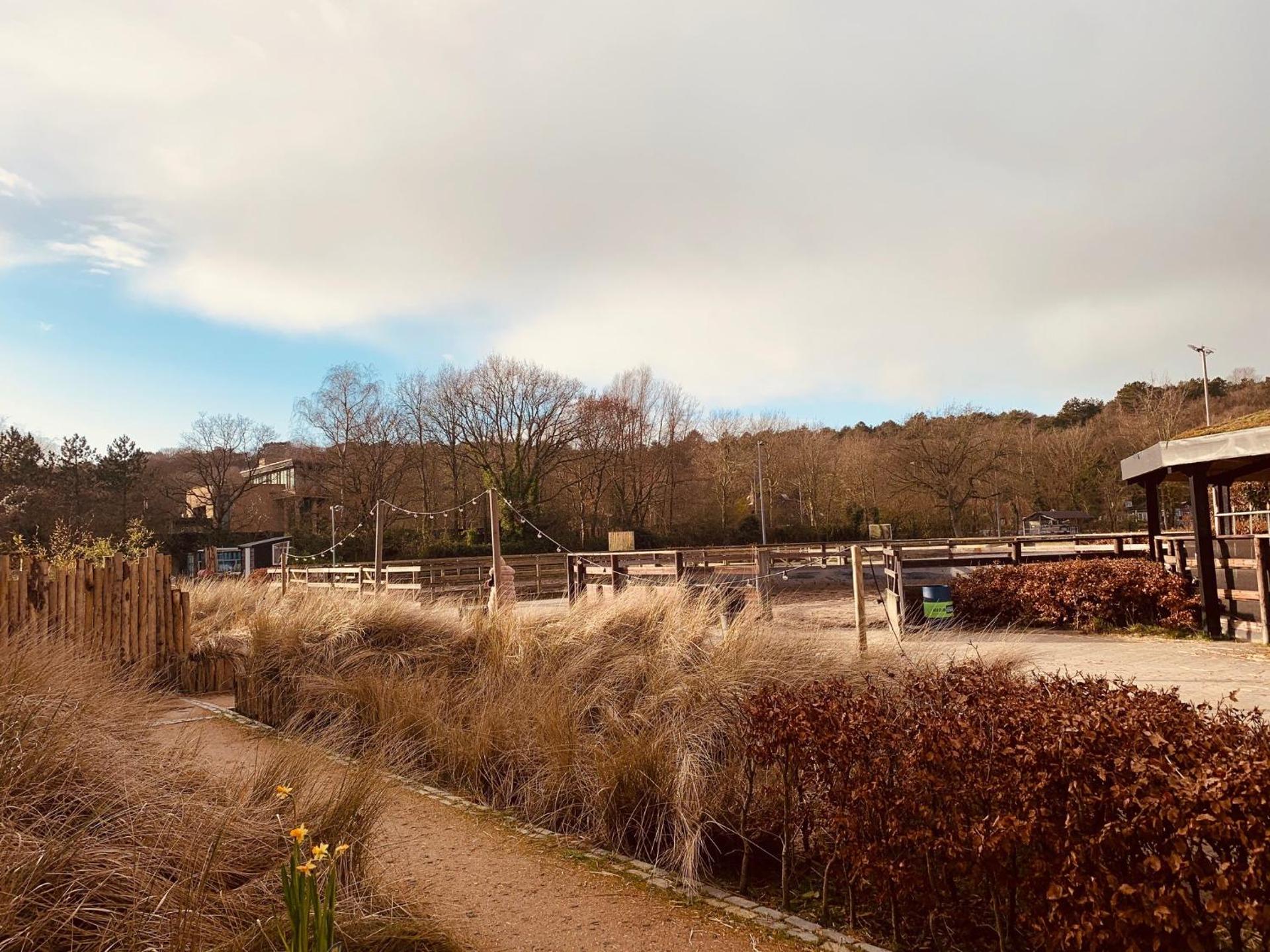 Duinappartementen Schoorl