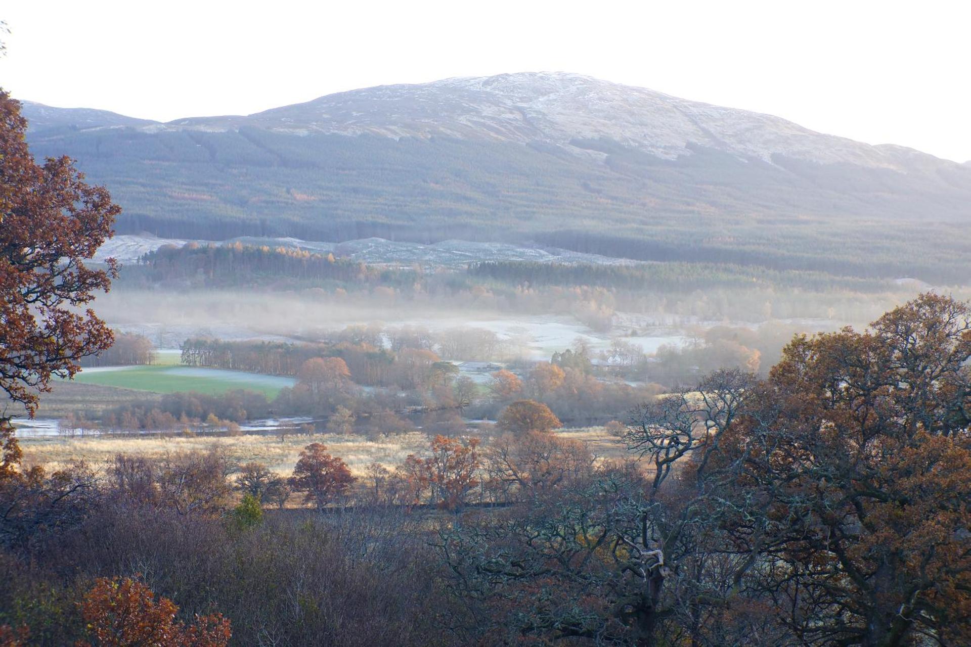 Luxury woodland Alder Lodge