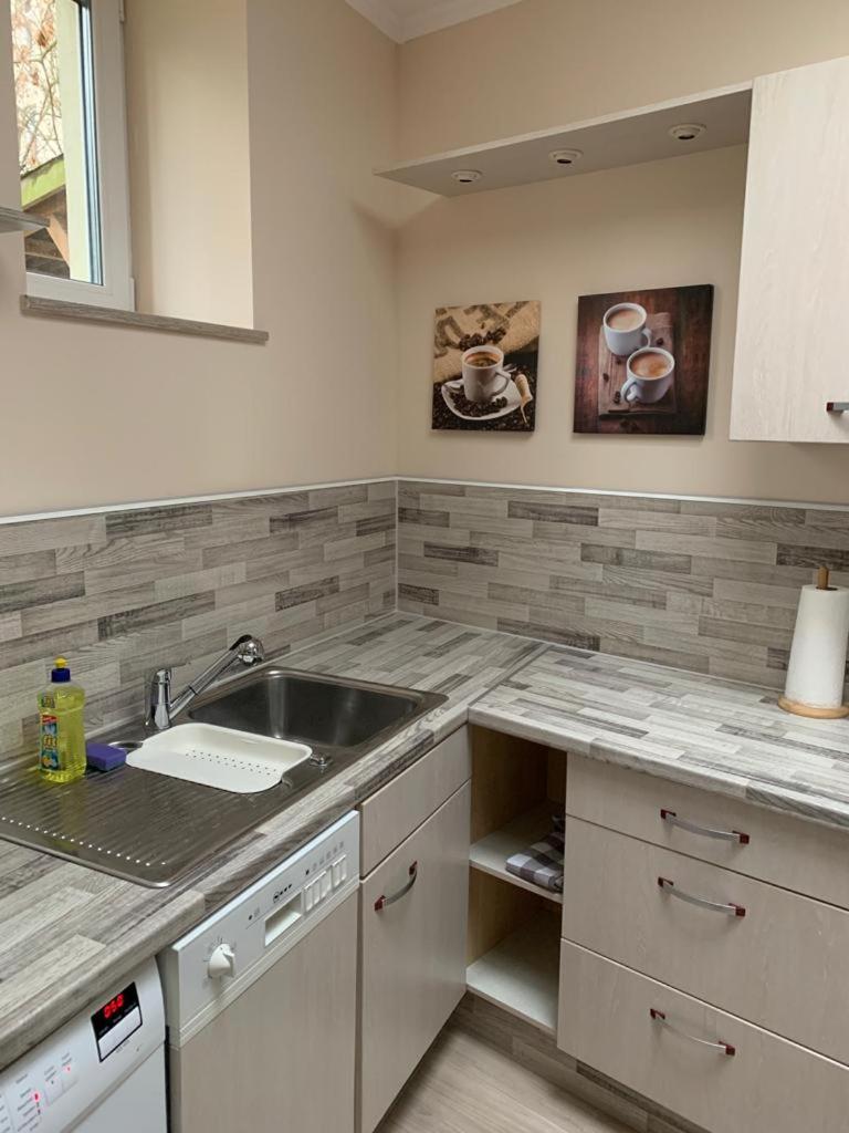 2Raum-Apartment Leznew