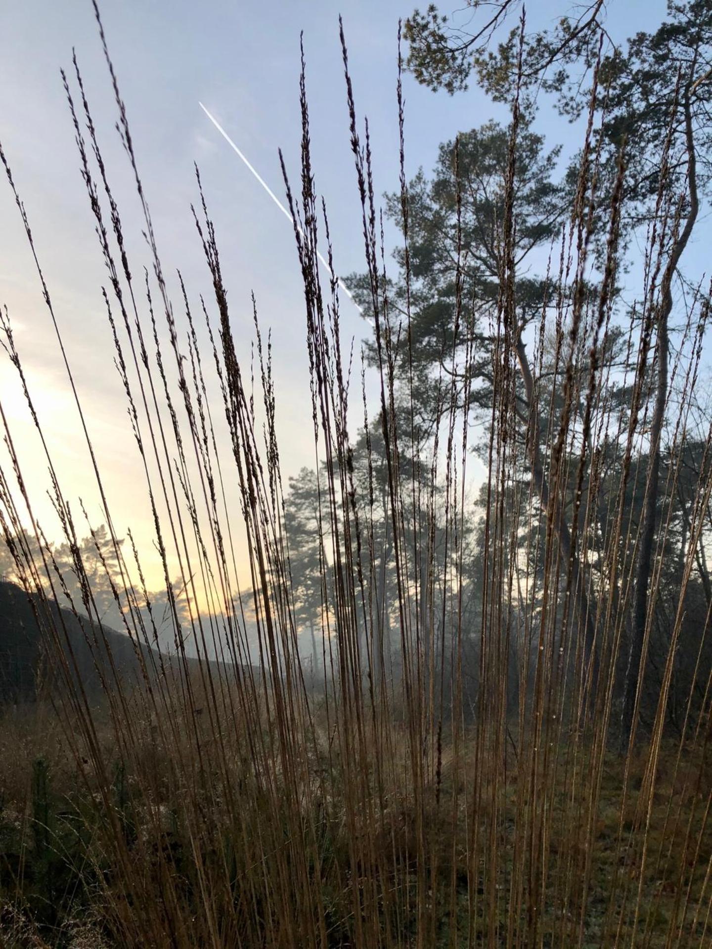 Het Natuurhuisje op de Veluwe