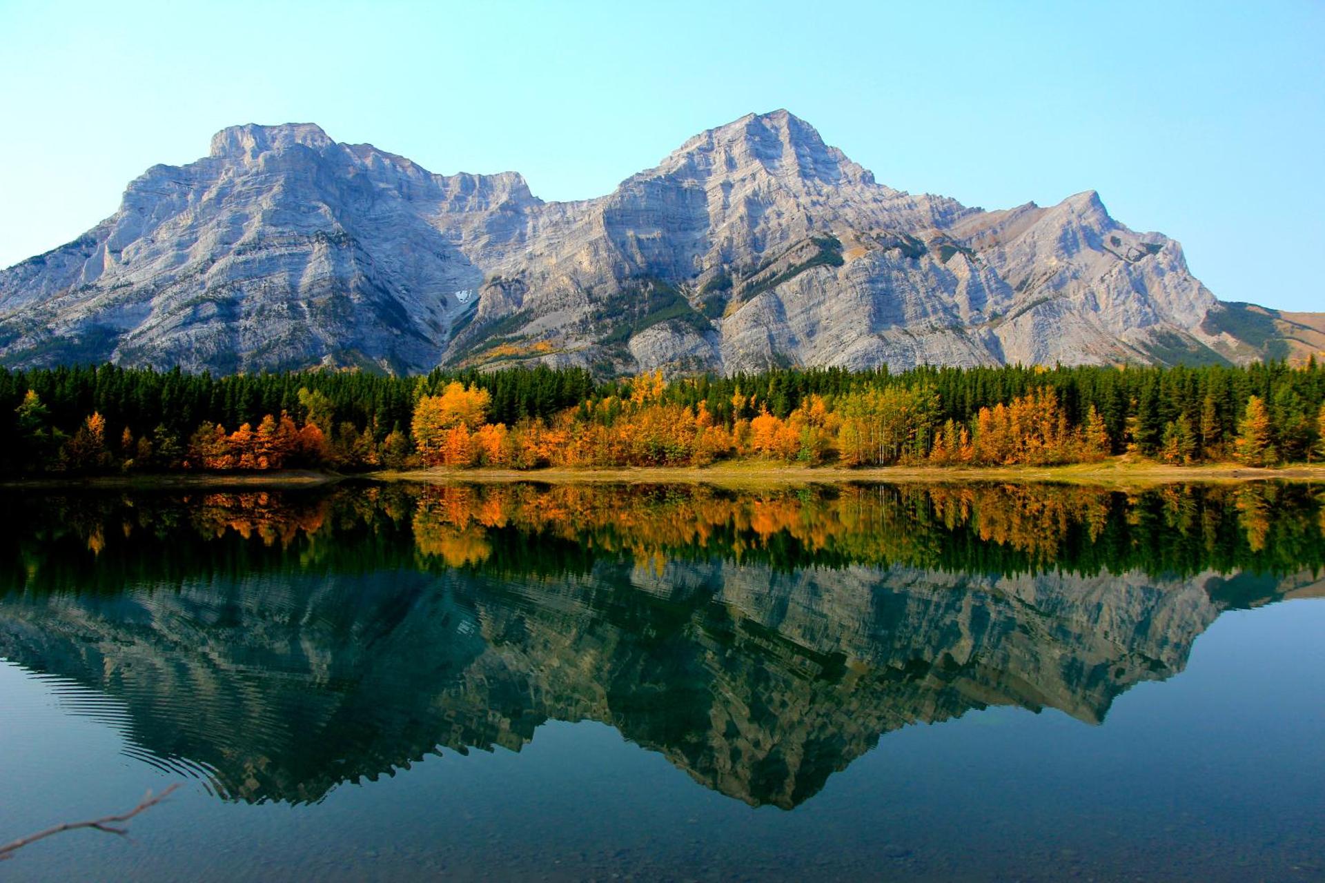 WindTower Resort - 1 Bed Hotel Room 166