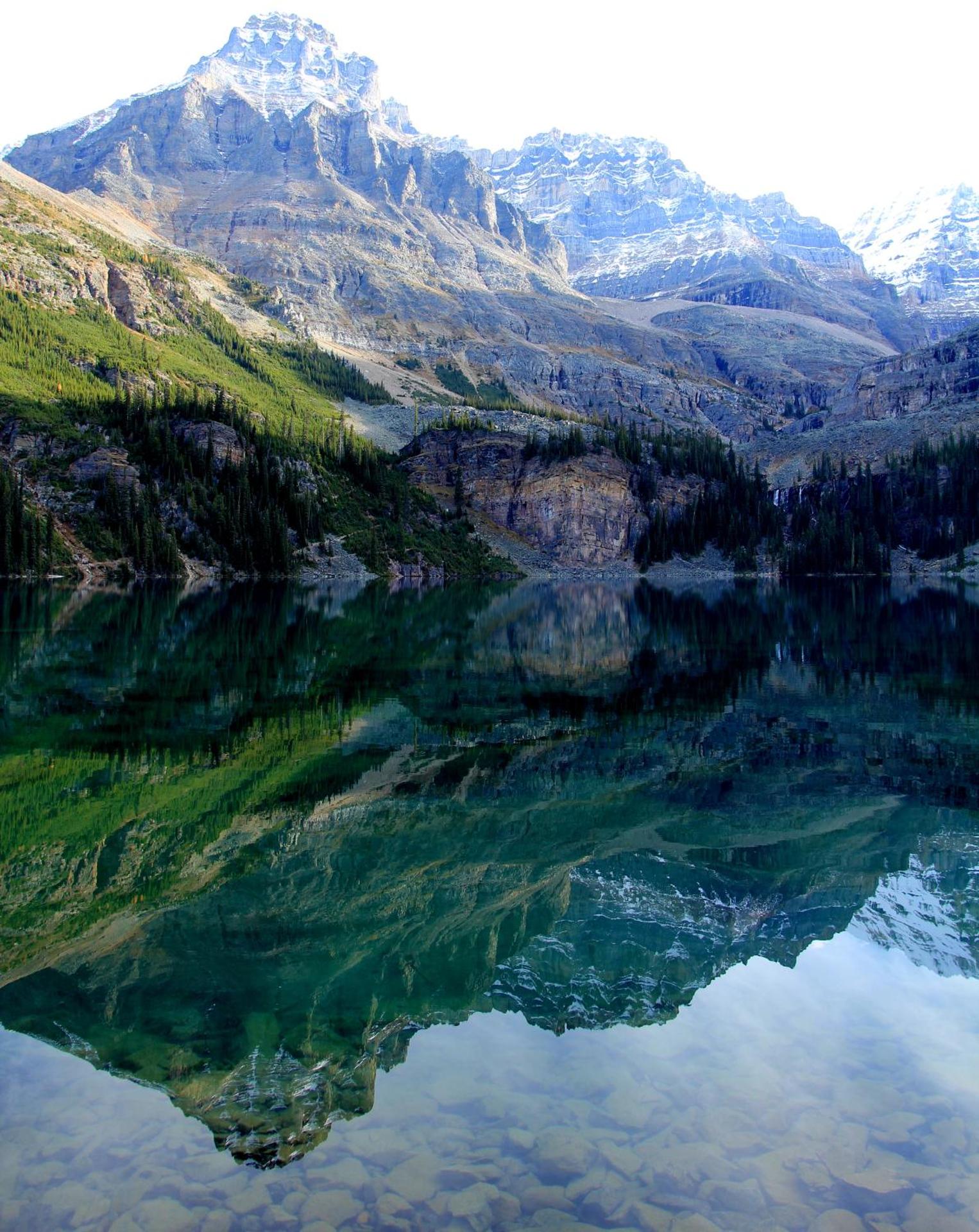 WindTower Resort - 1 Bed Hotel Room 166