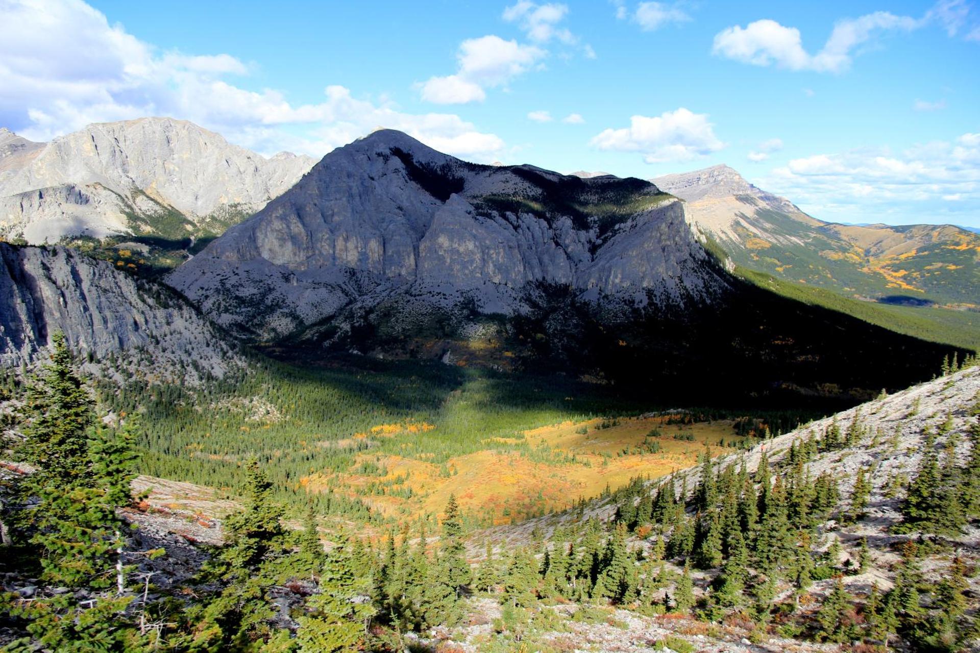 WindTower Resort - 1 Bed Hotel Room 166