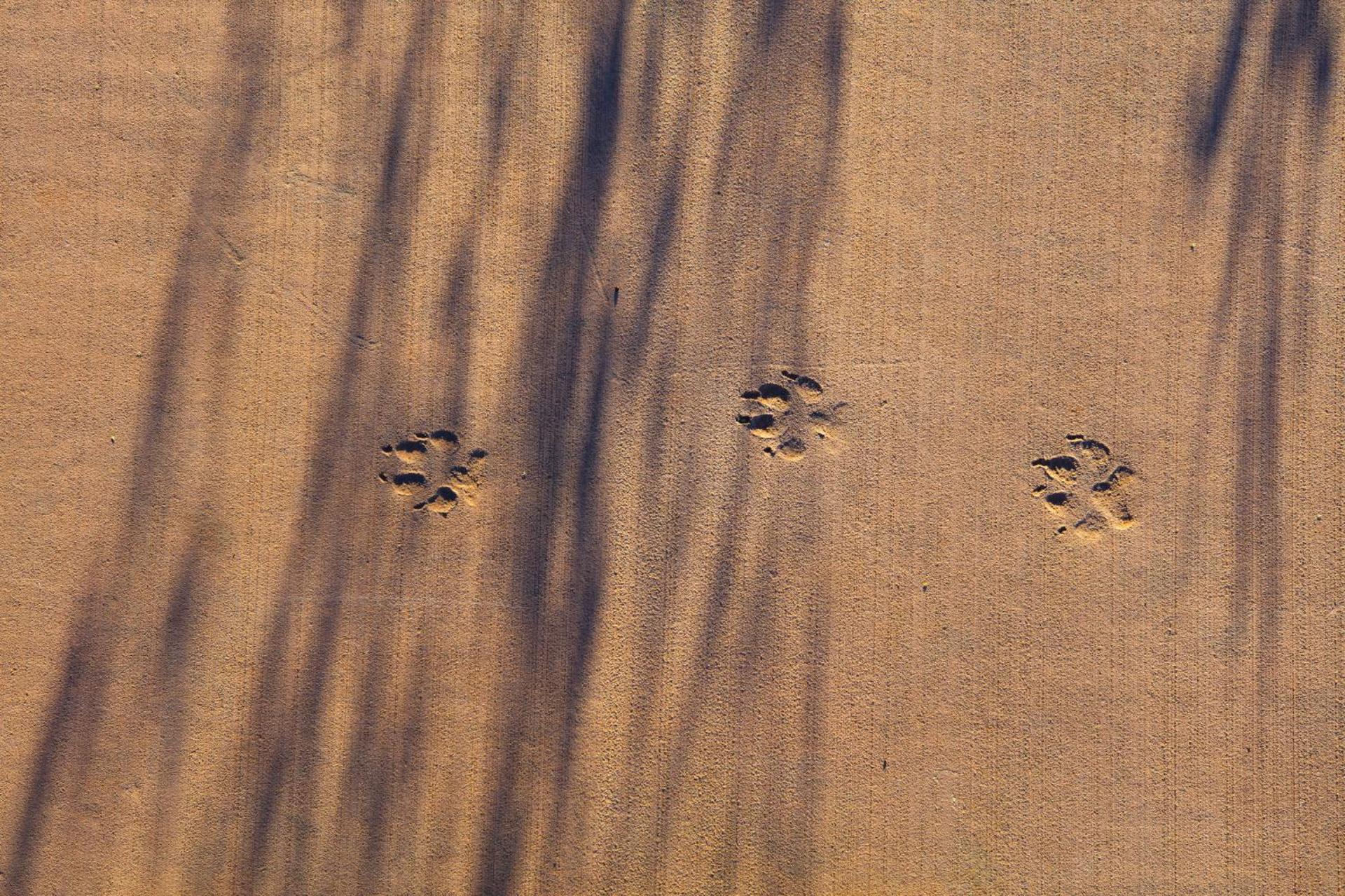 Best Friends Roadhouse and Mercantile