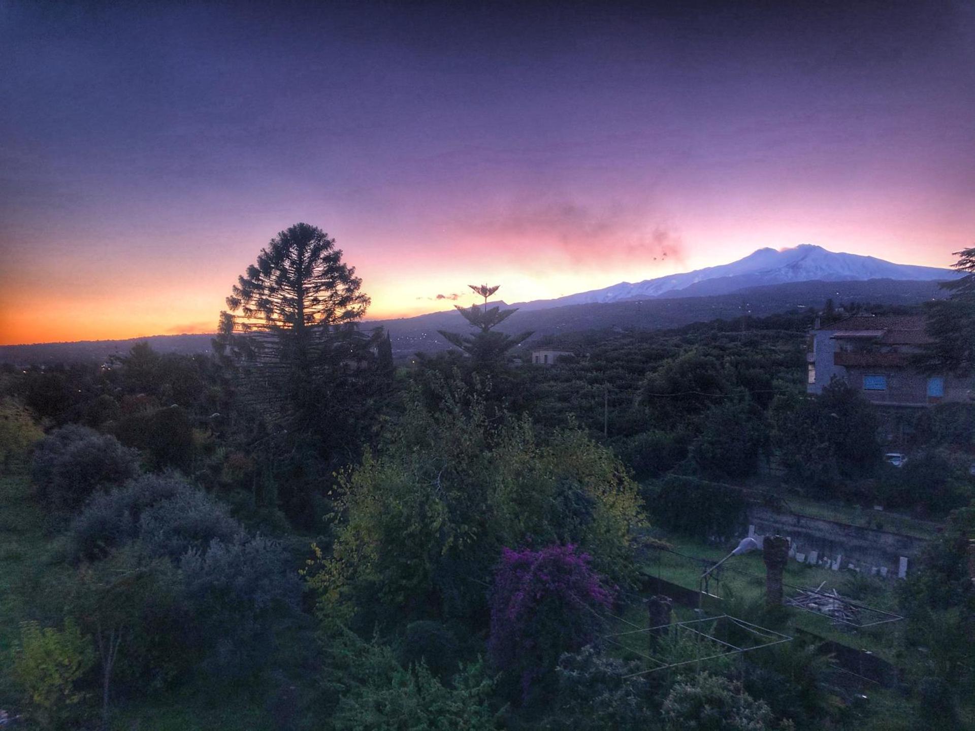 The Godfather Apartment