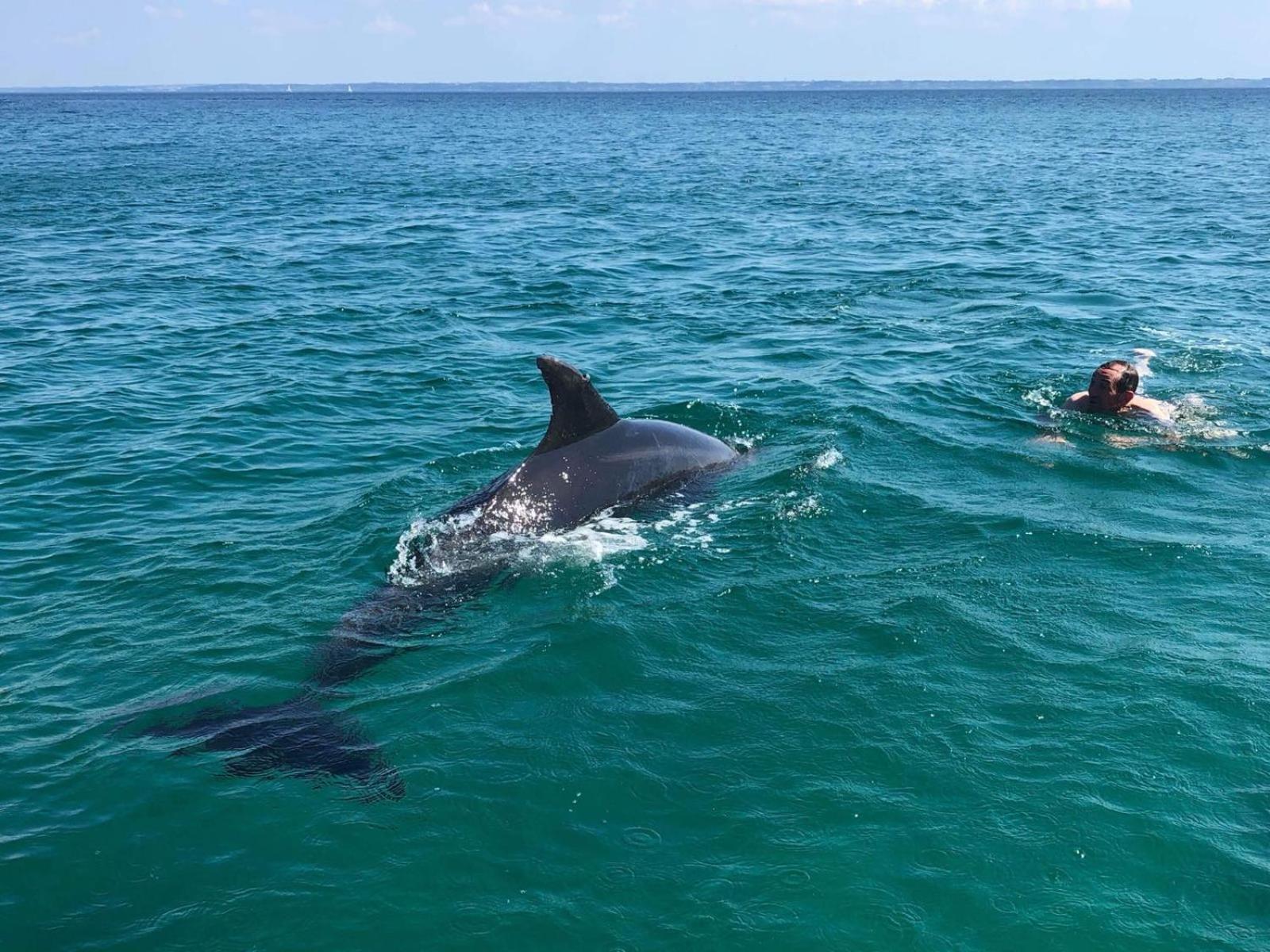 Une terrasse sur la mer