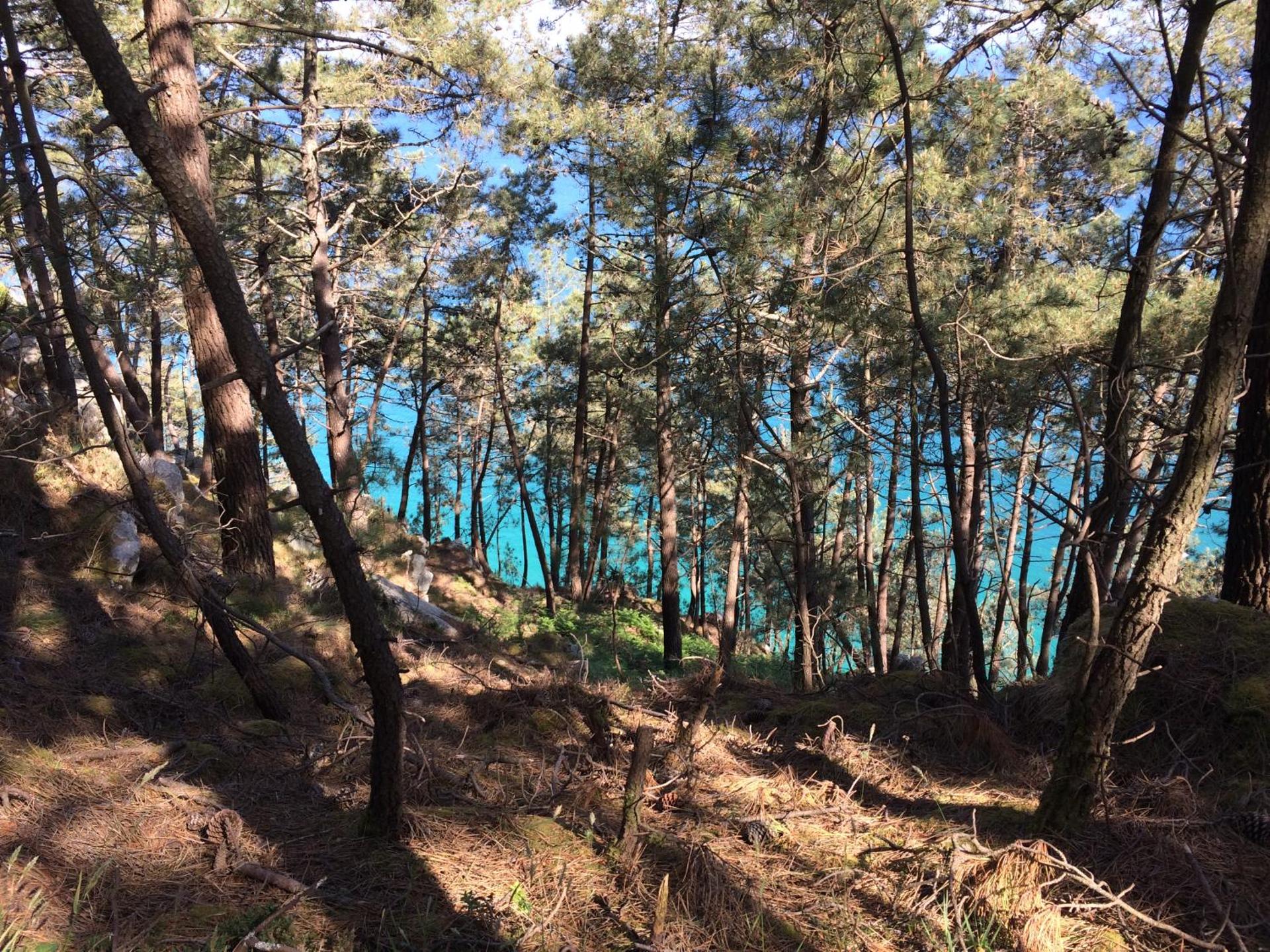 Une terrasse sur la mer