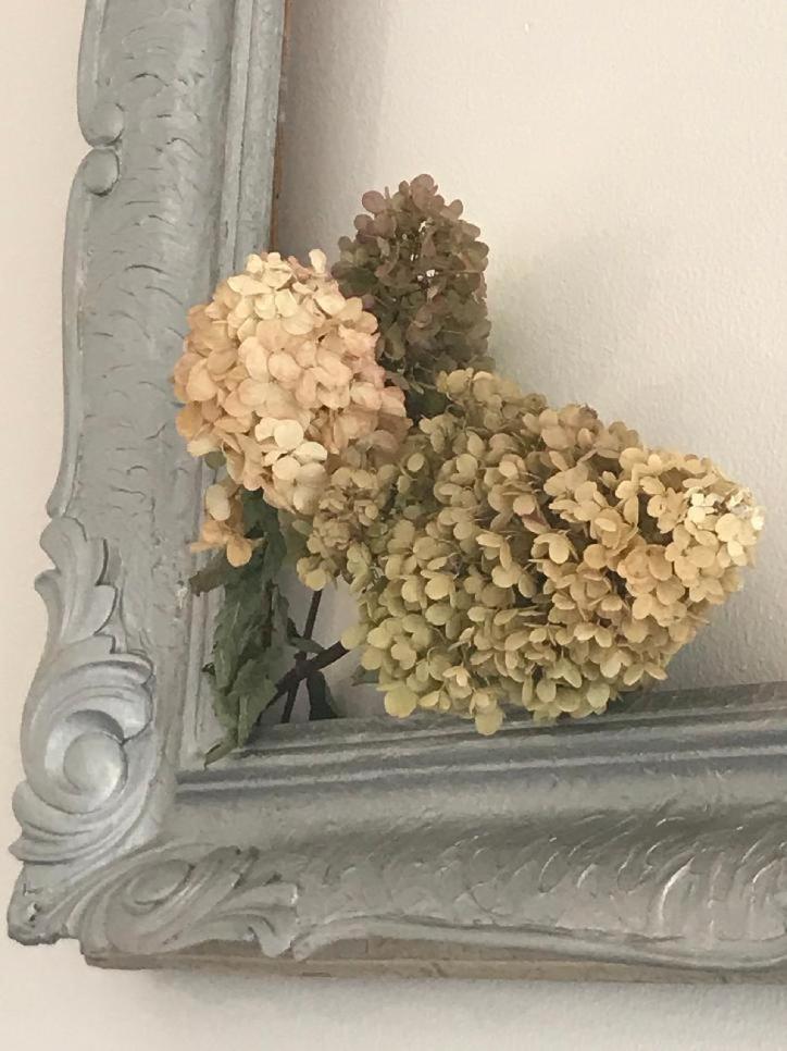 Apartman Harmonia Poděbrady 60m2