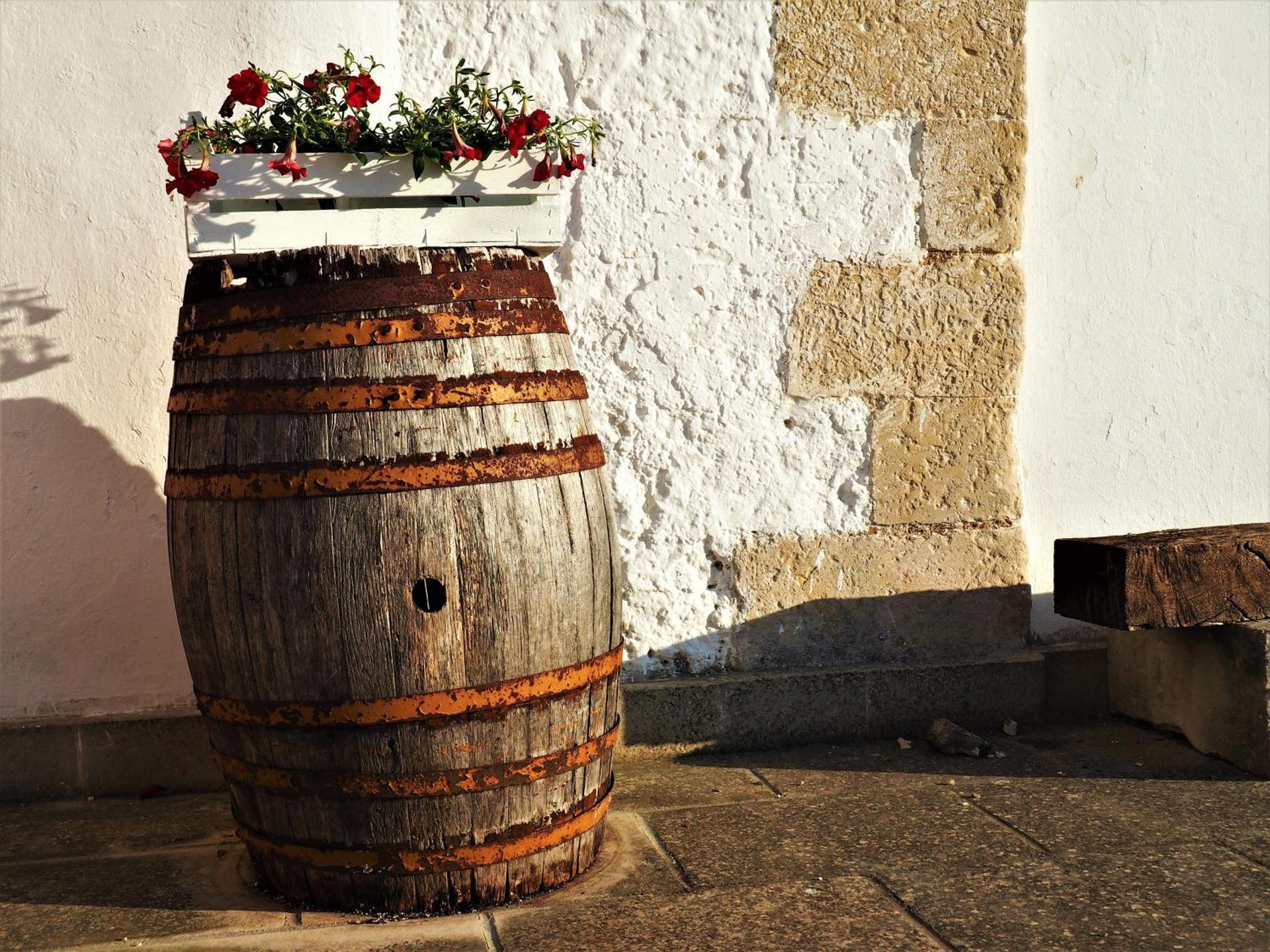 MASSERIA SALENTINA - Esperienza Autentica