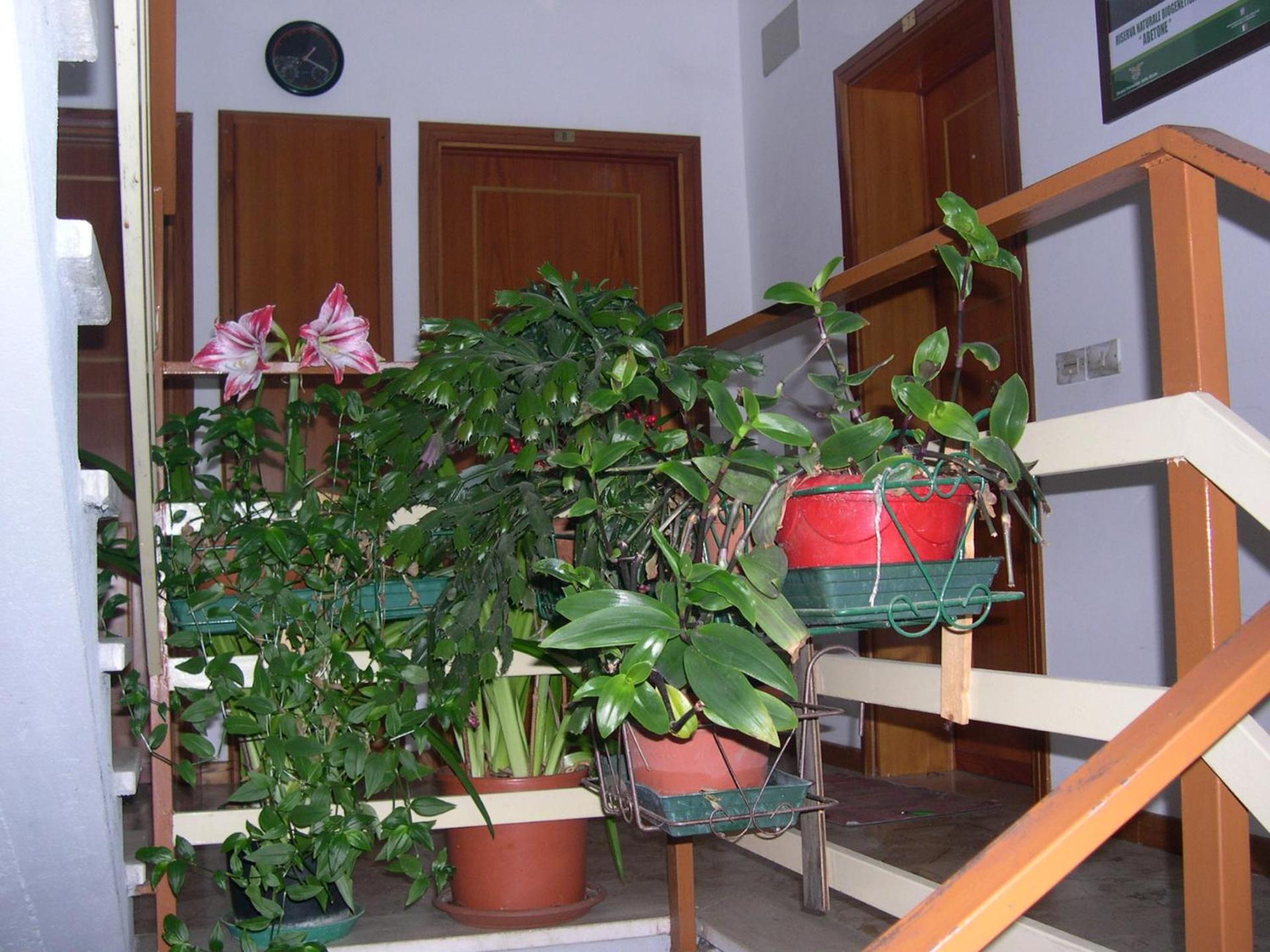 Mansarda in montagna