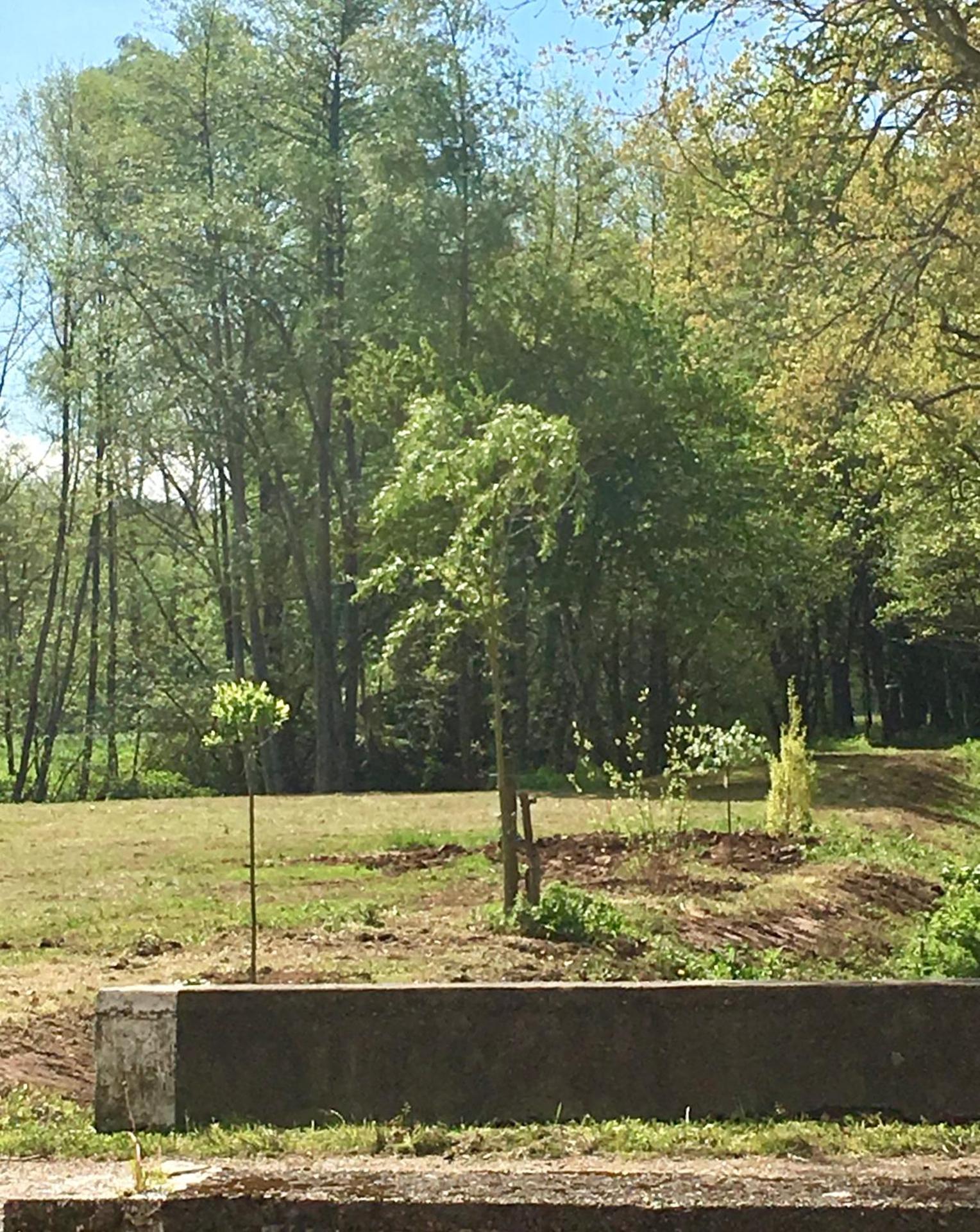 Le Moulin de Lassalle