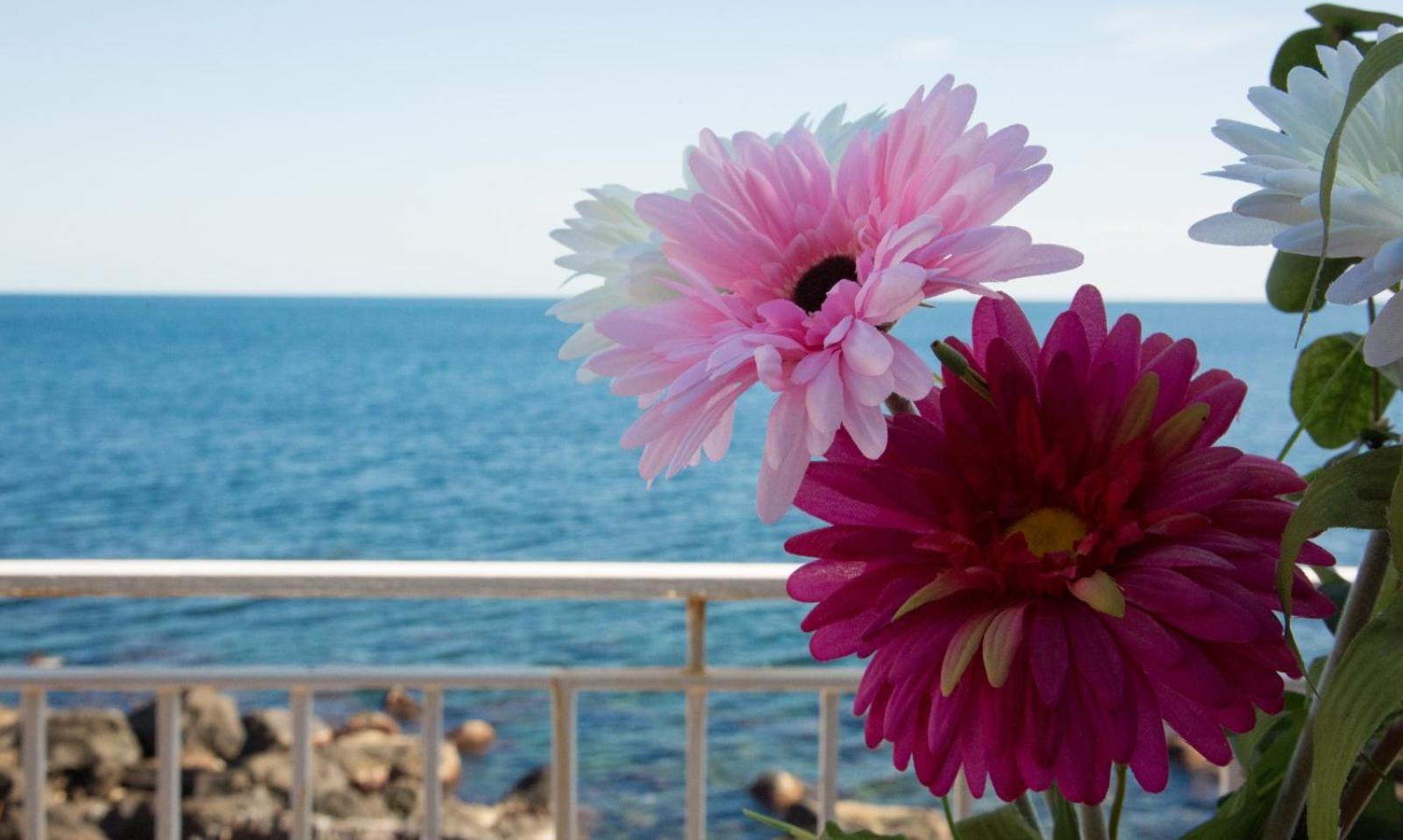 Appartamento in Villa Agnese