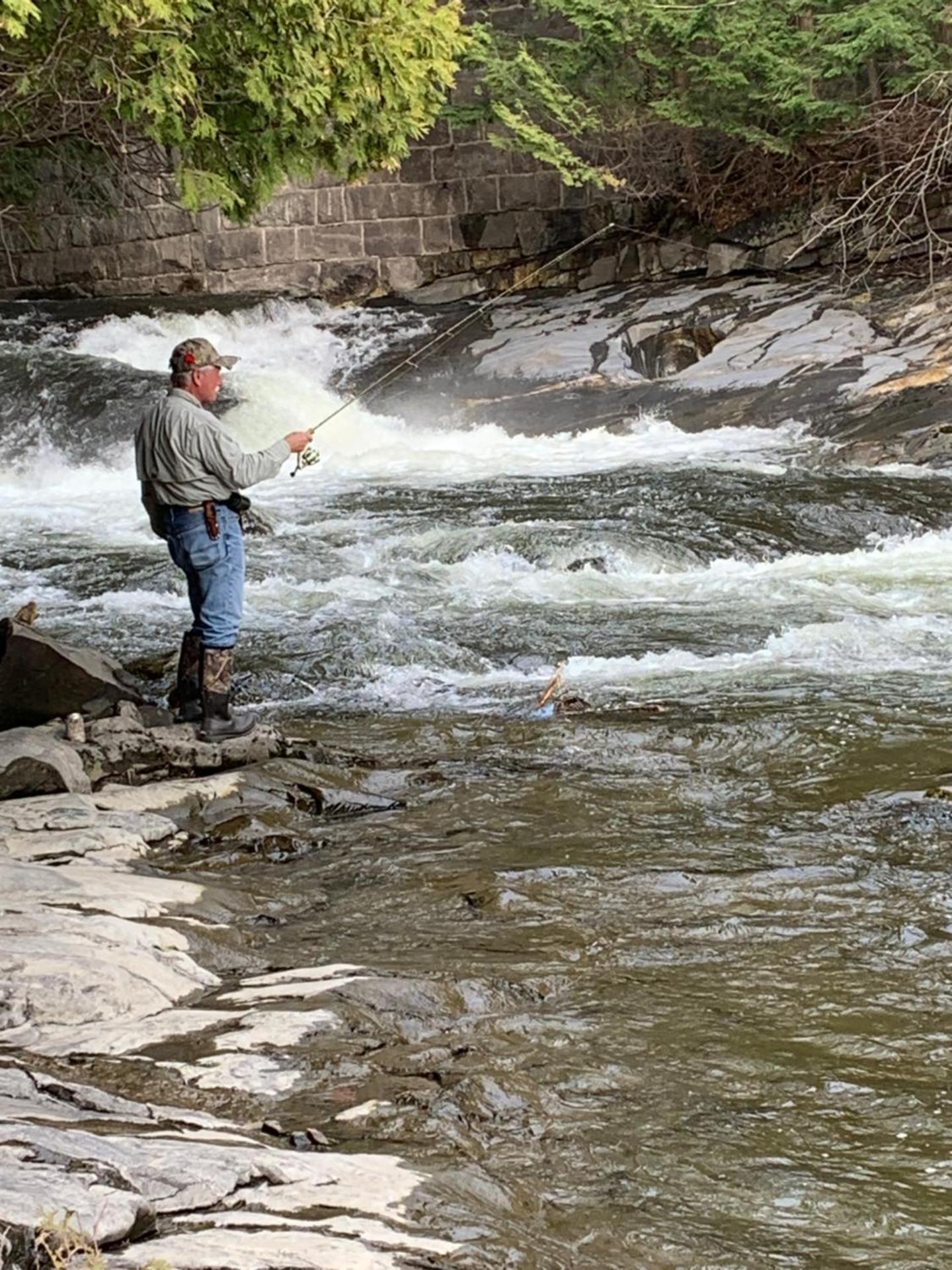 Pine Crest Motel & Cabins