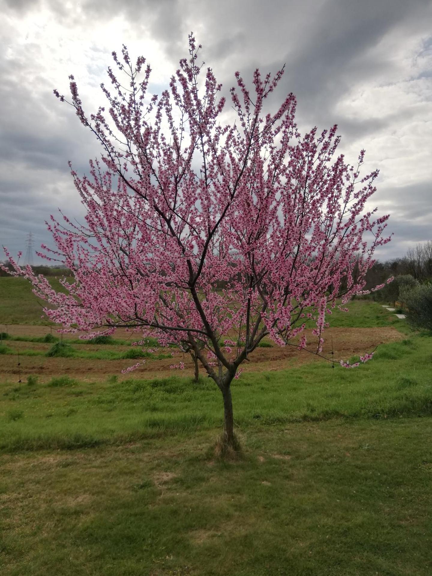 Agriturismo Podere Bianca Maria