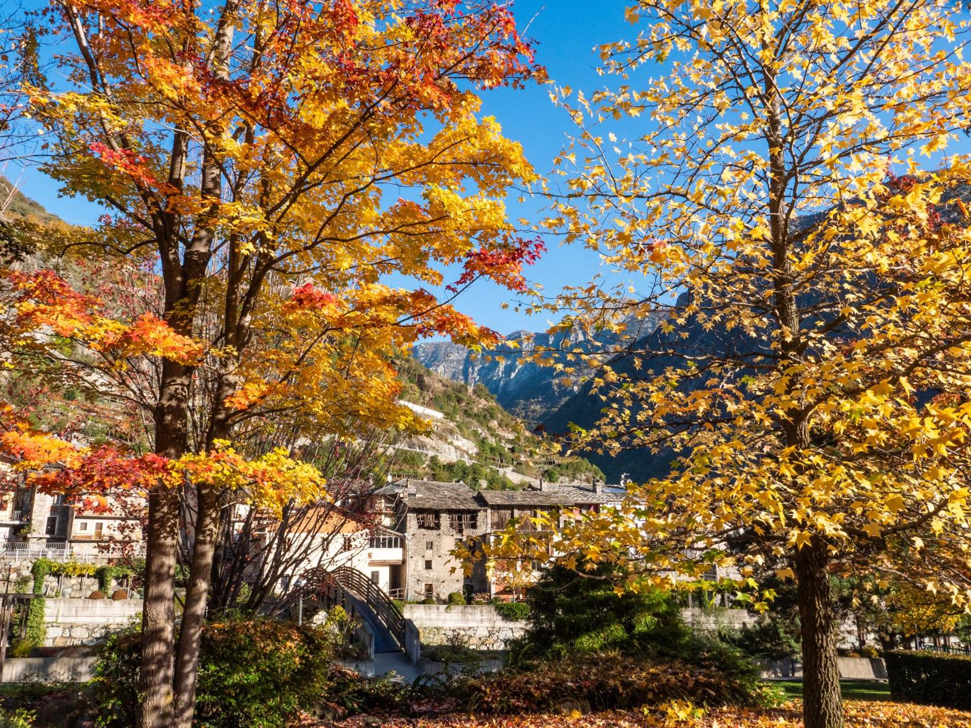 Minihouse Lisa CIR 0005