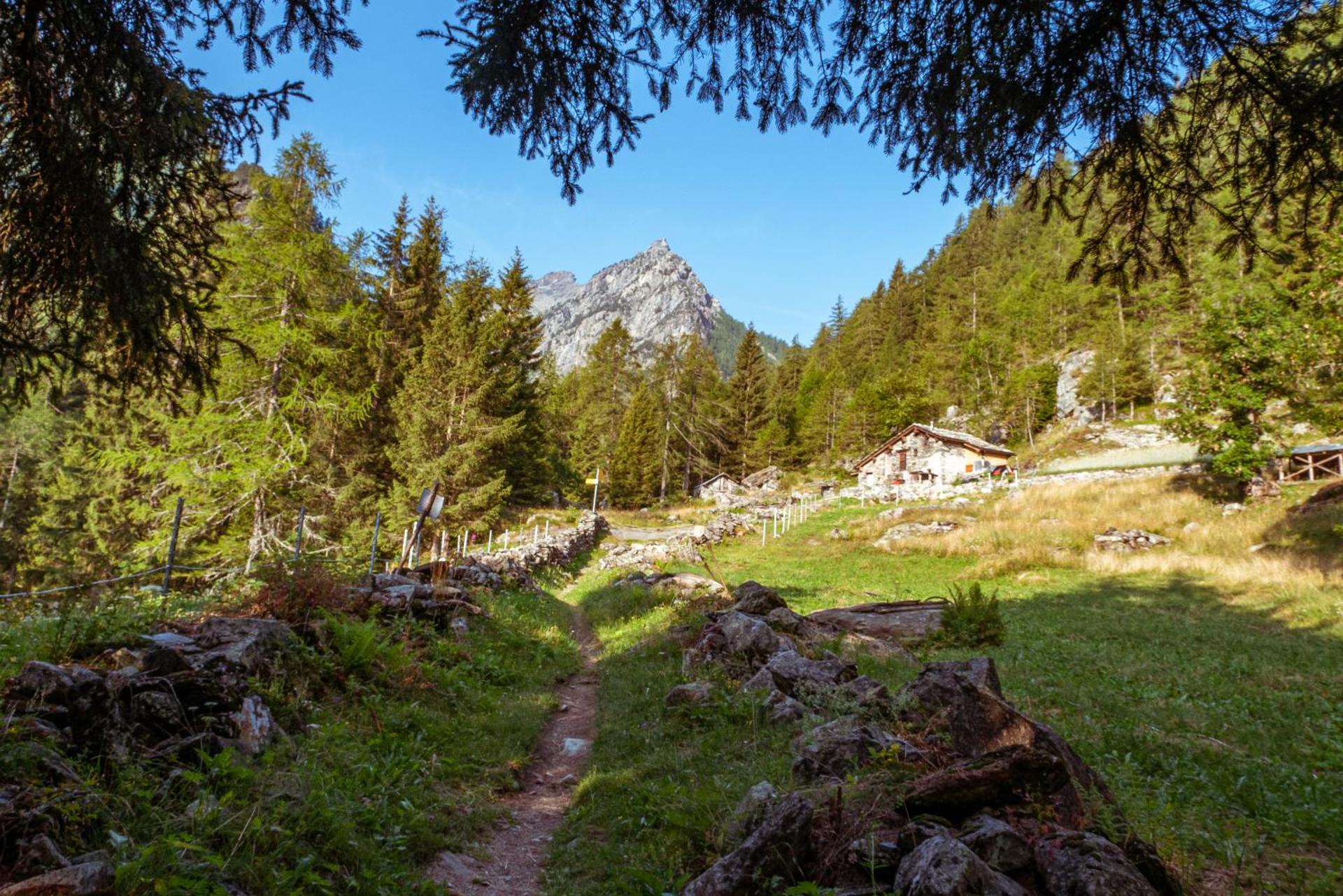 Minihouse Lisa CIR 0005