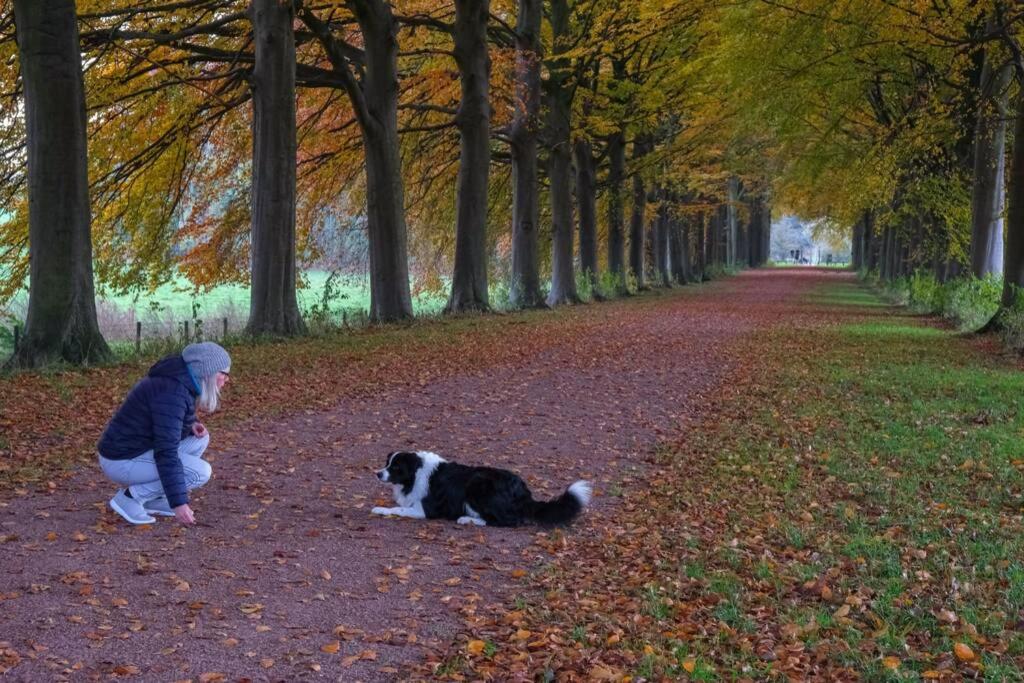 Hasbania Vakantiewoning