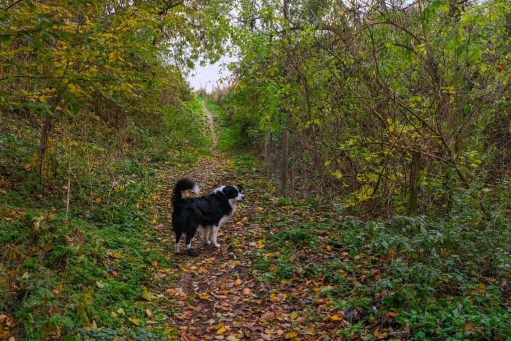 Hasbania Vakantiewoning