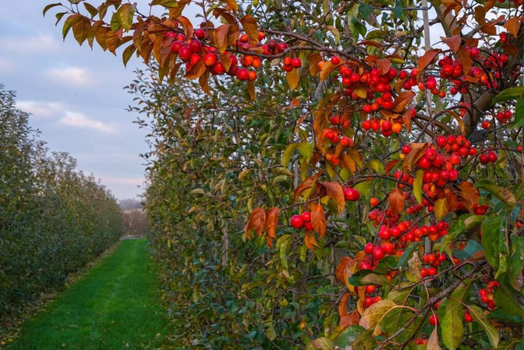 Hasbania Vakantiewoning