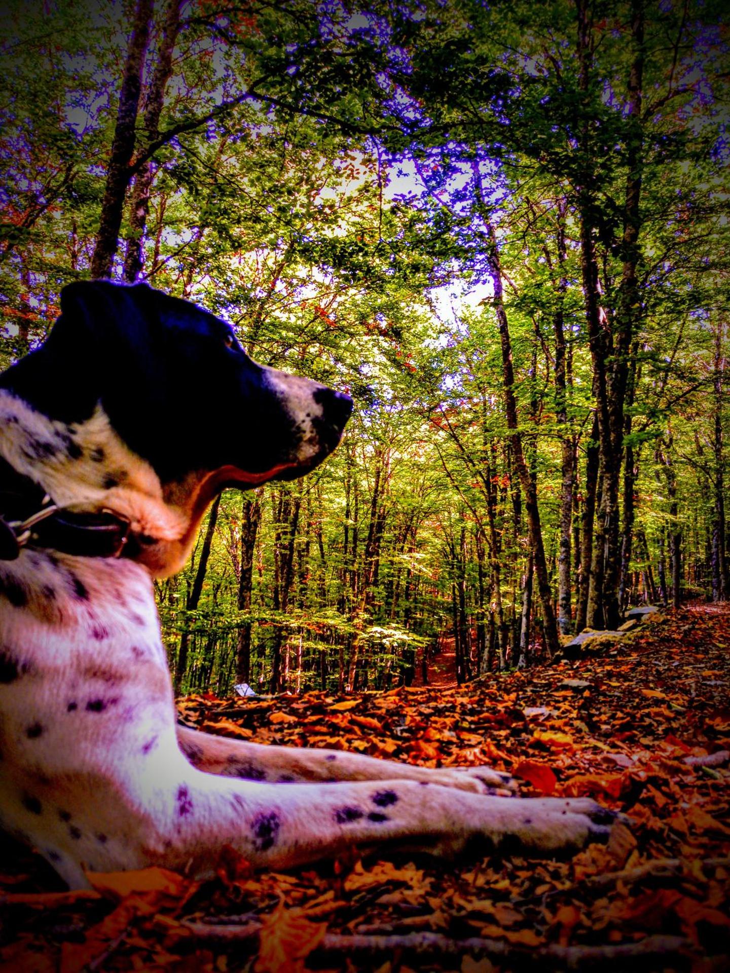 Hotel Río Escabas, Serranía de Cuenca