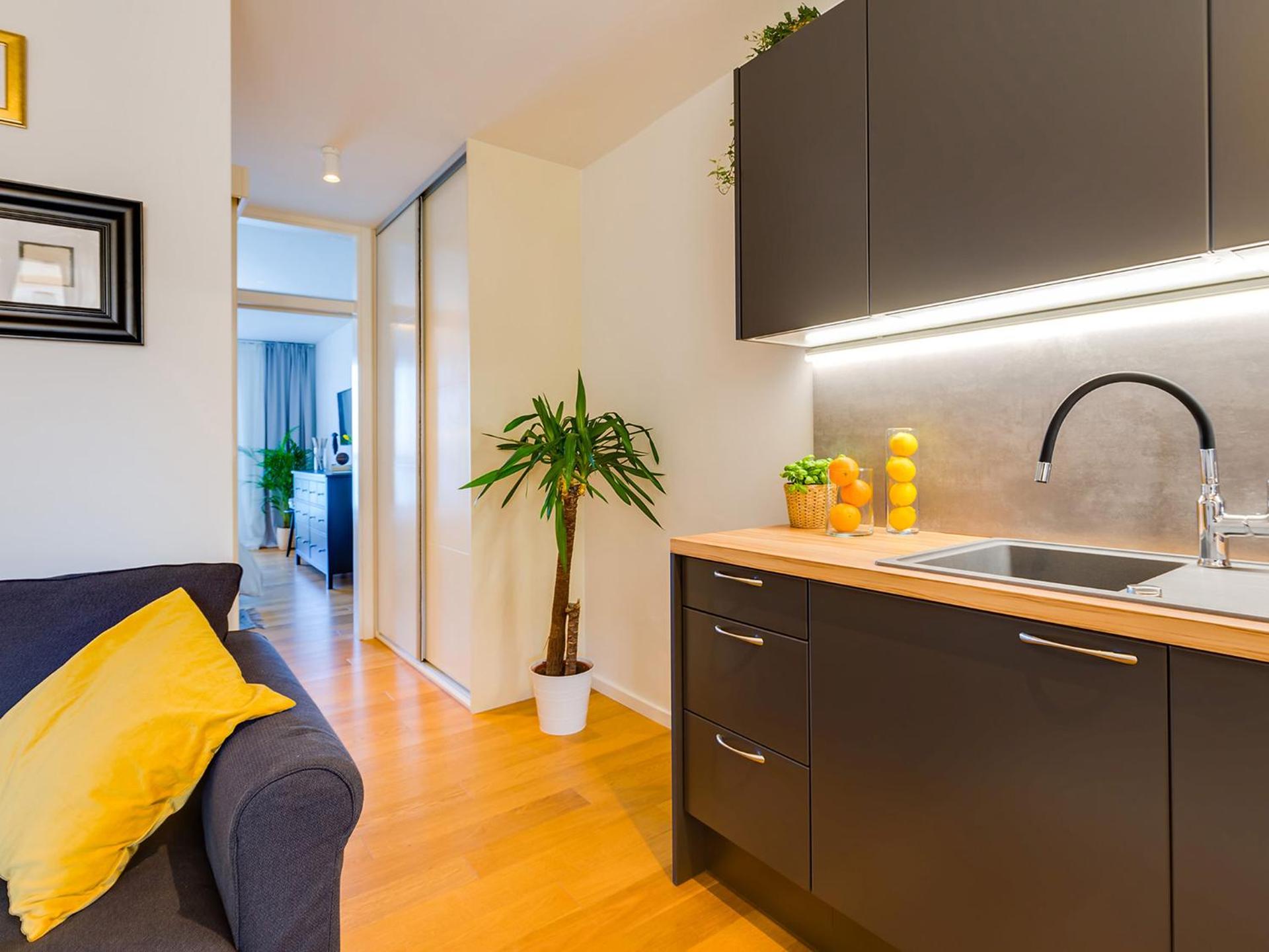 Kitchen or kitchenette