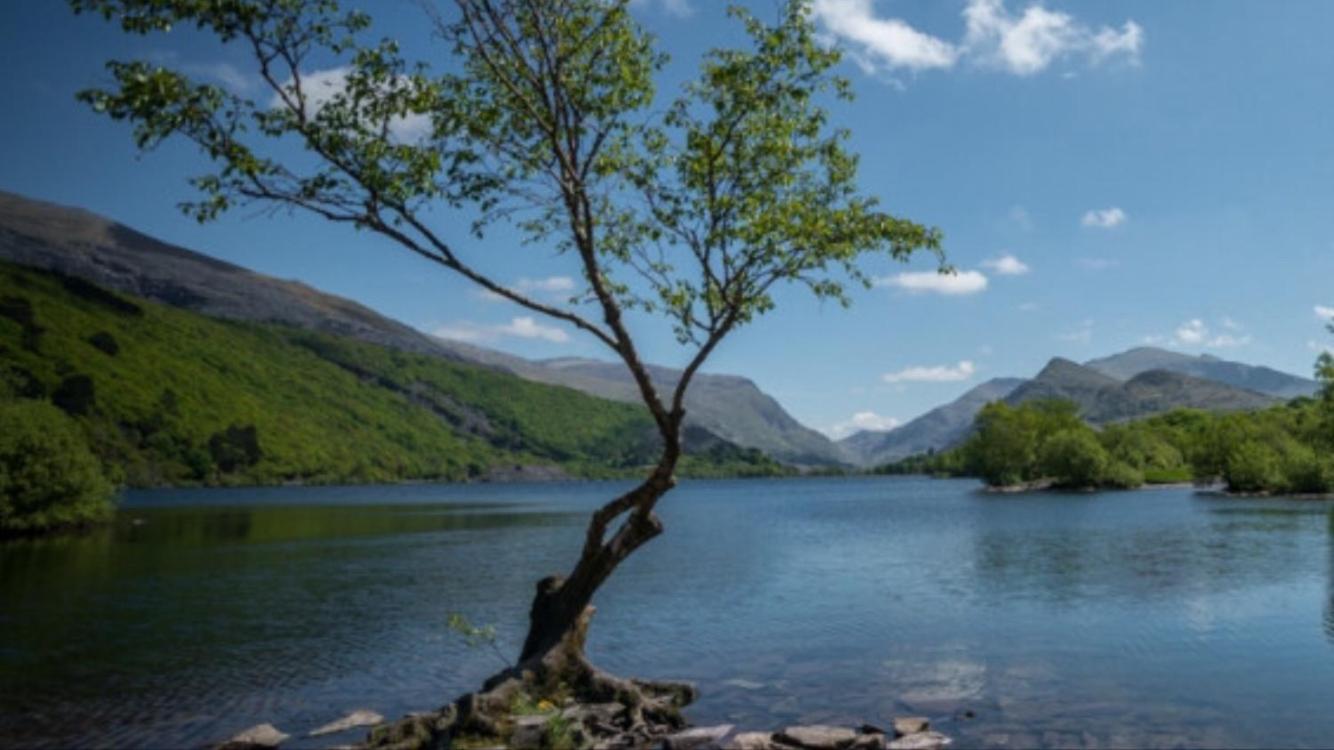 River bank apartment