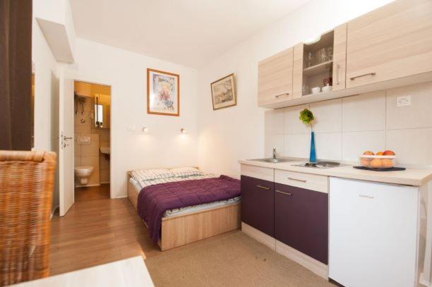 Centar 2 Private Room with Ensuite and Kitchenette