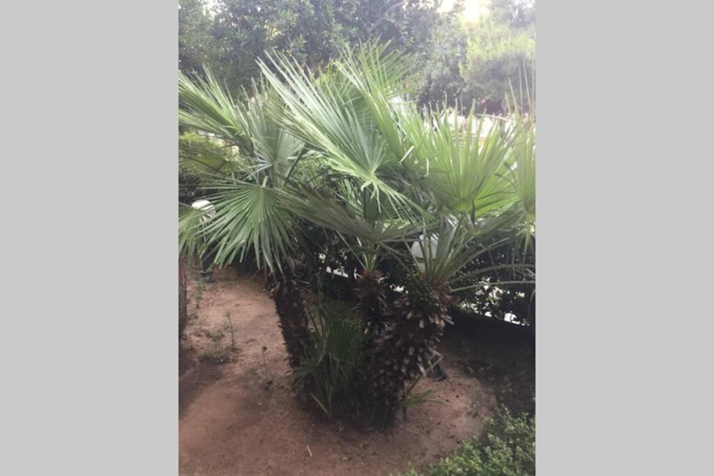 Two Bedroom Apartment Near Alimos Marina !