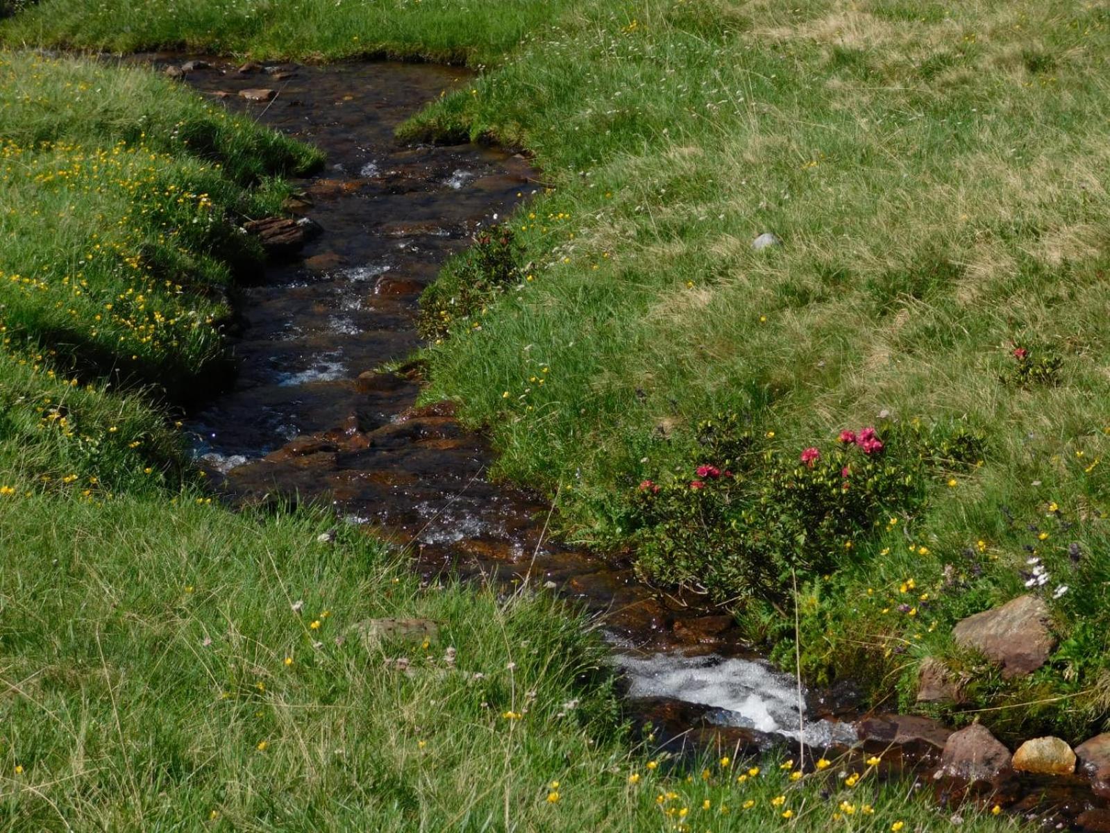 Hostel - Bormio - Livigno - Santa Caterina - Stelvio