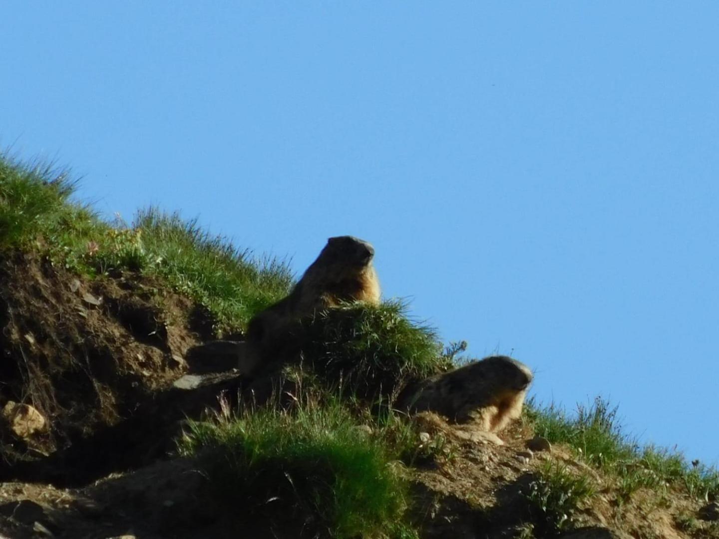 Hostel - Bormio - Livigno - Santa Caterina - Stelvio