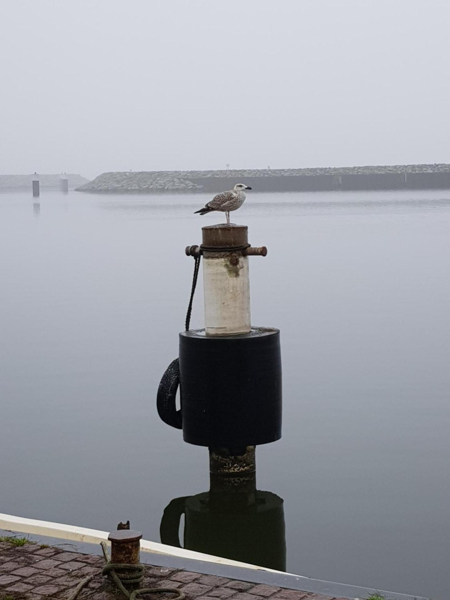 Sunshine Speicherresidenz Barth