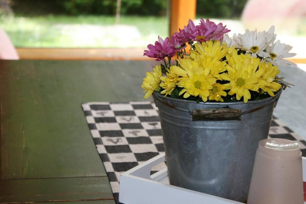 Gemütliches großzügiges Apartment