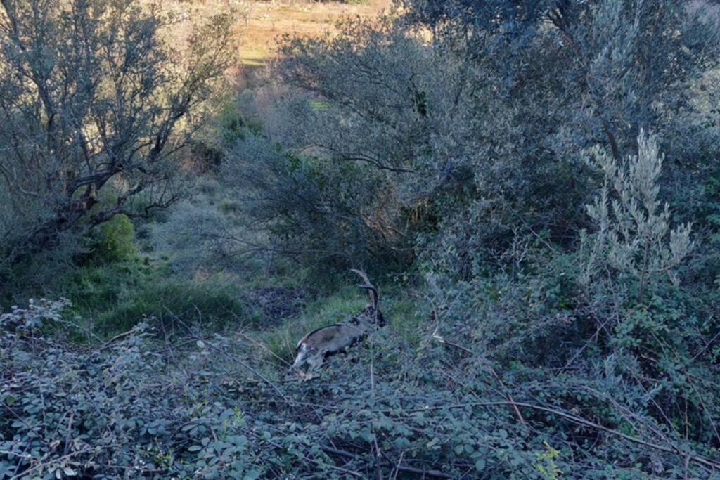 Casa Rural Adriana, Montanejos