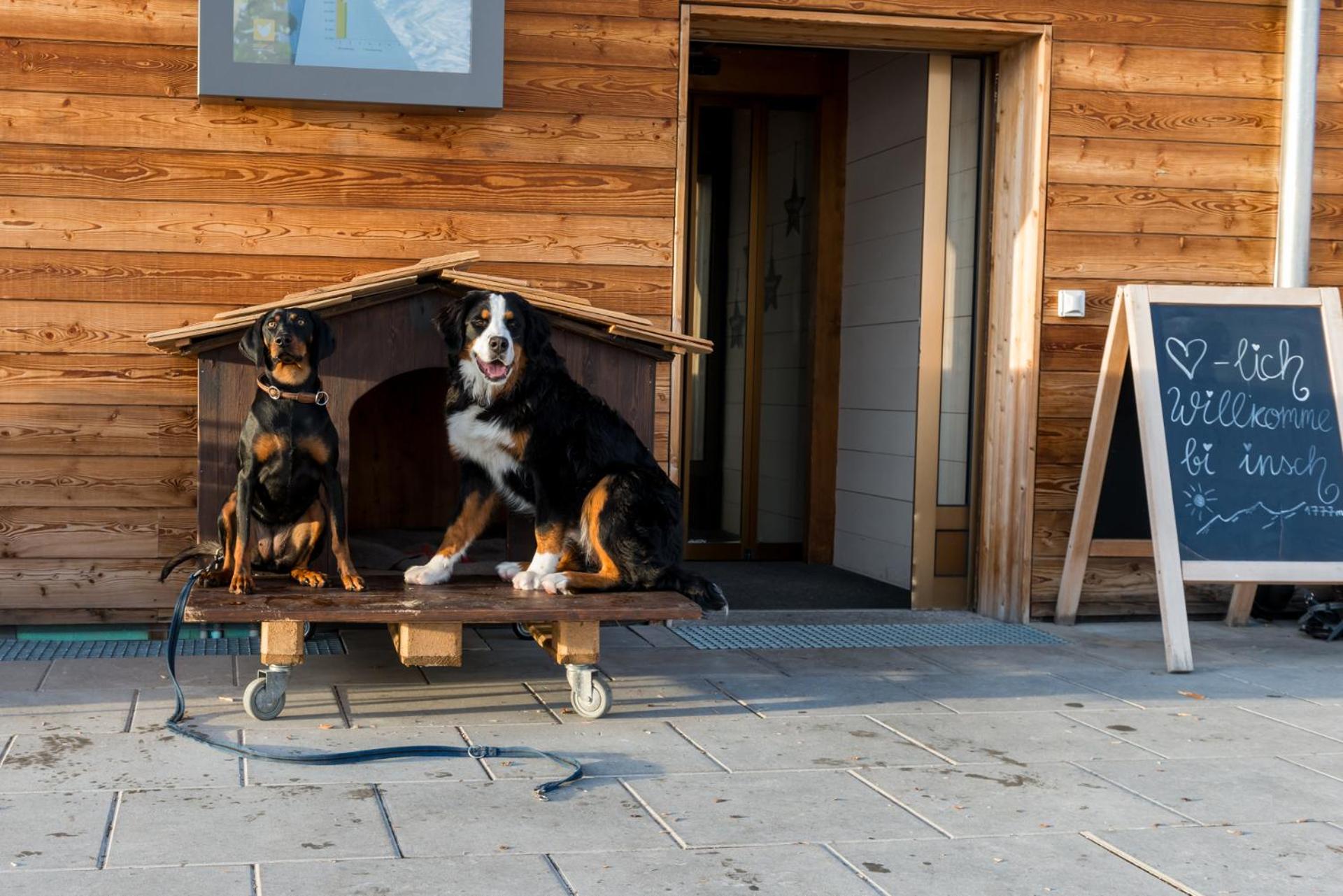 Berghotel Chäserstatt