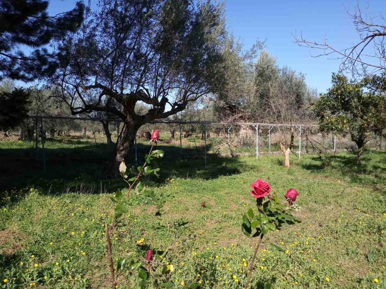 manousi 2 - First floor