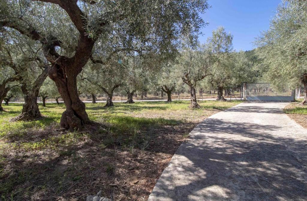 manousi 2 - First floor