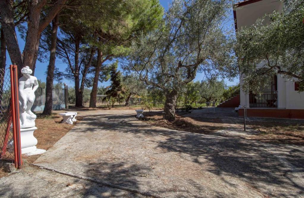 manousi 2 - First floor