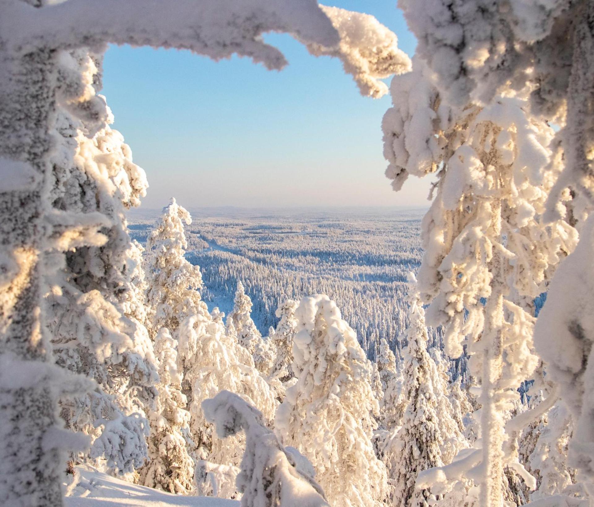 Rukariutta Apartments