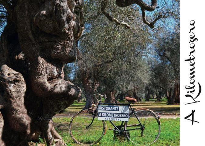 Logo/Certificate/Sign