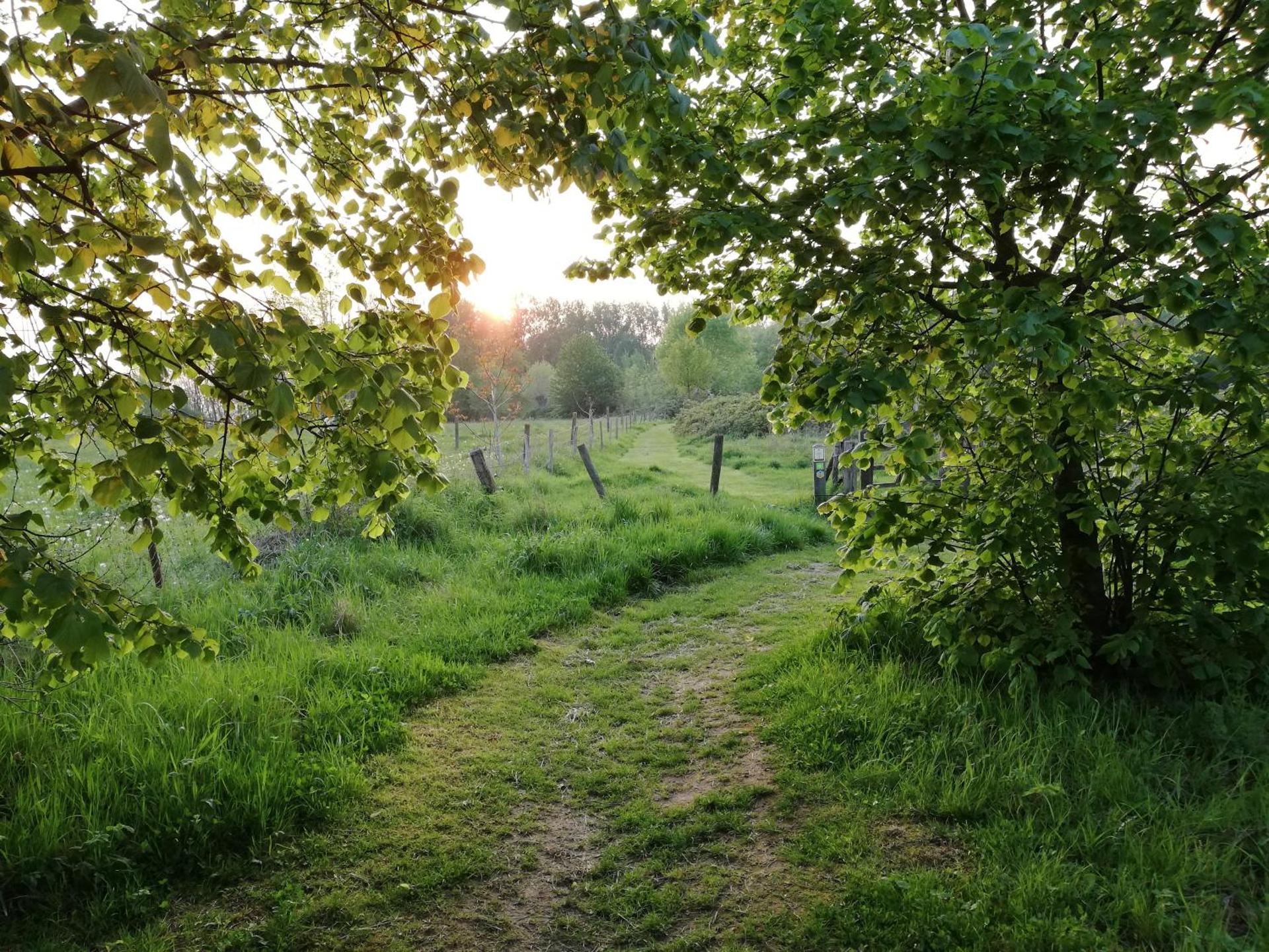 B&B 't Huys van Enaeme