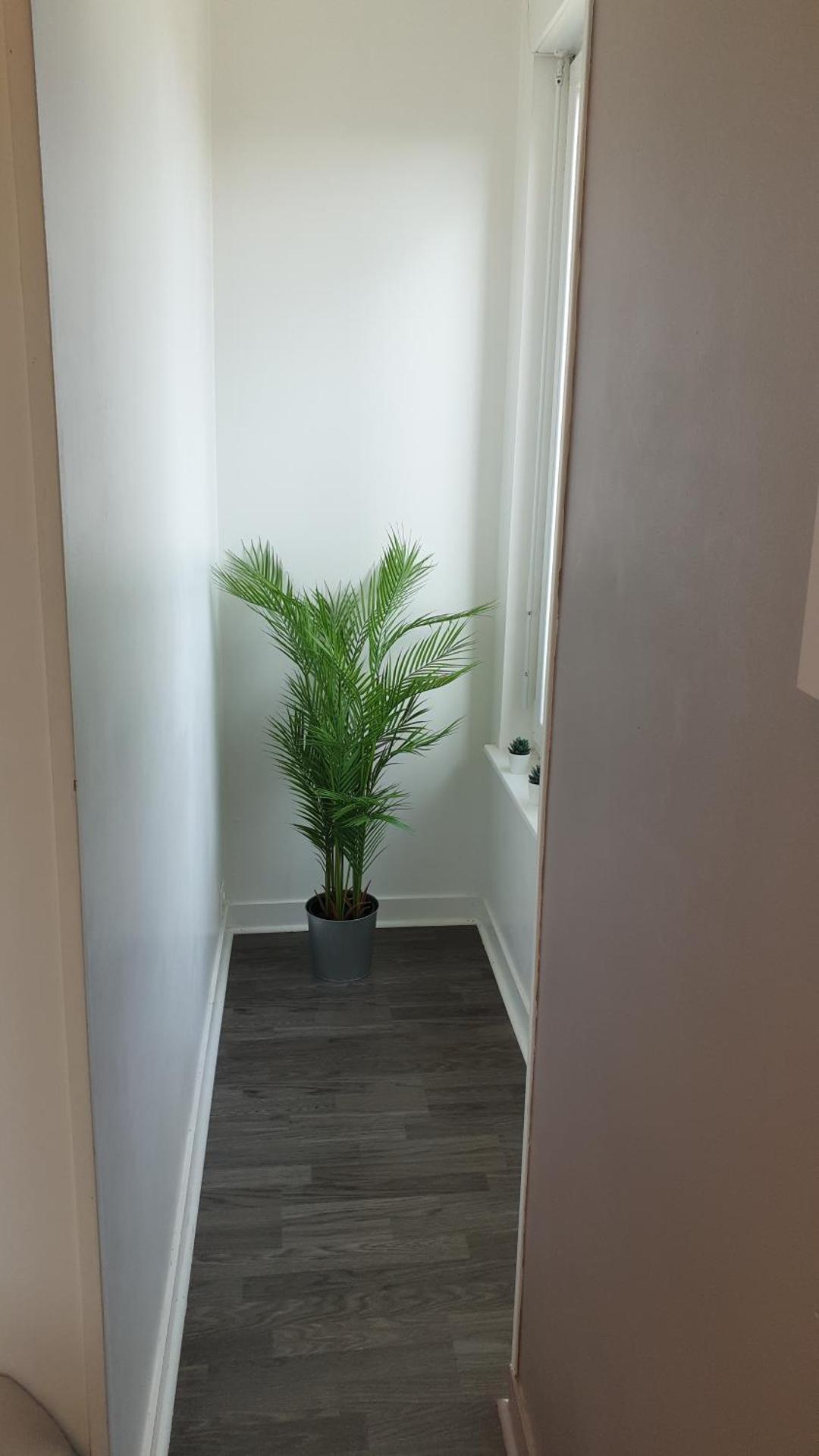 Linotin centre ville Compiègne