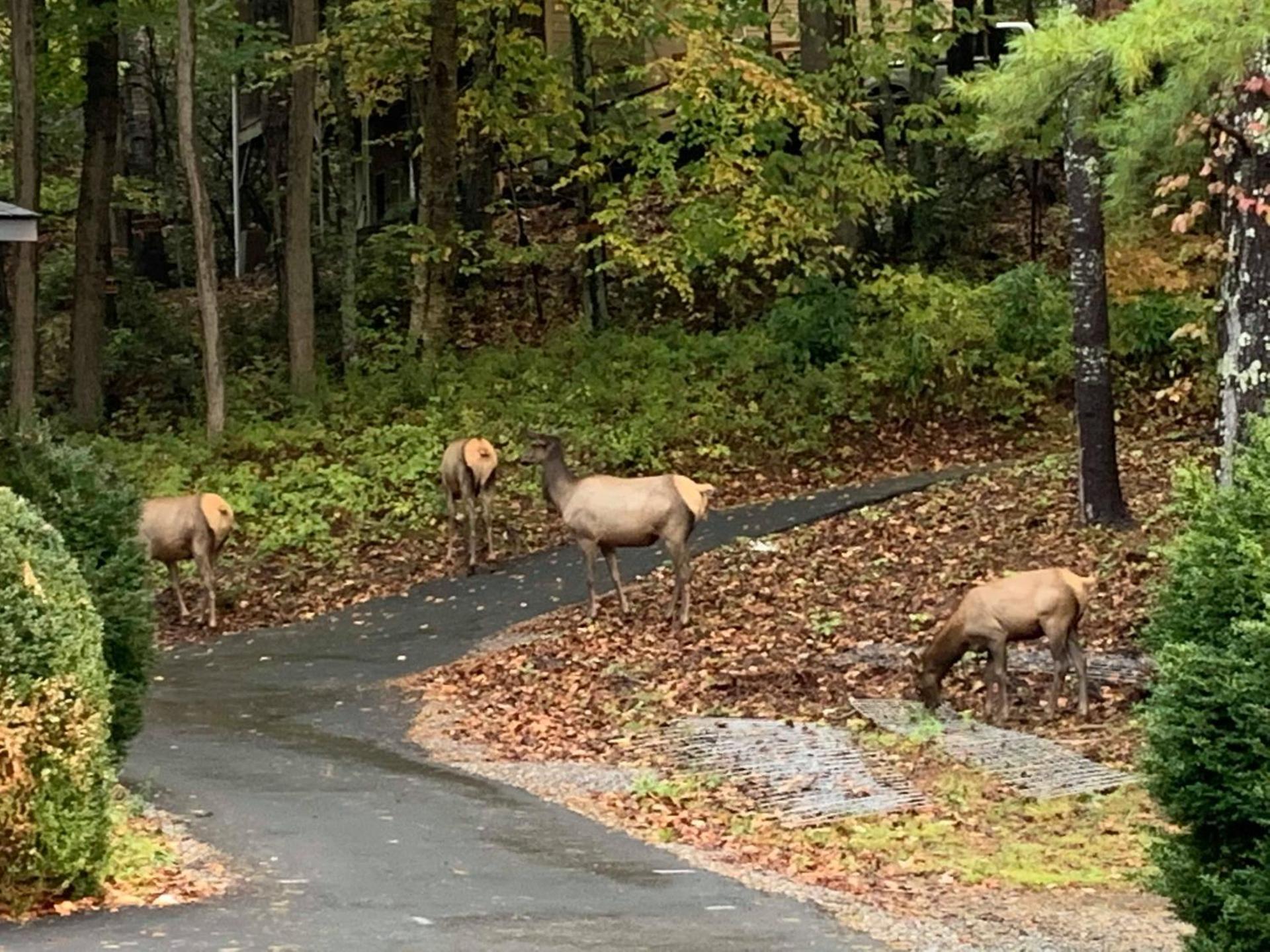 View (from property/room)